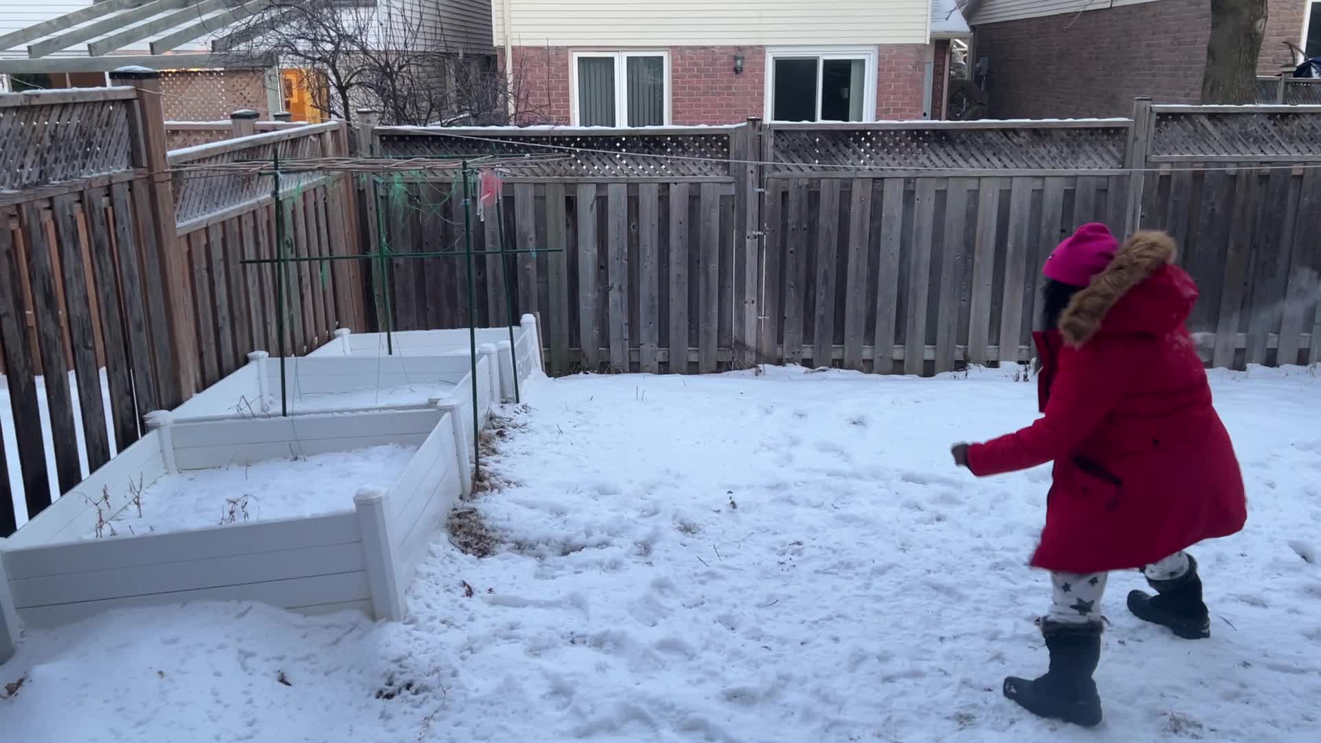 Polar vortex brings arctic air and freezing temperatures to Toronto, Canada