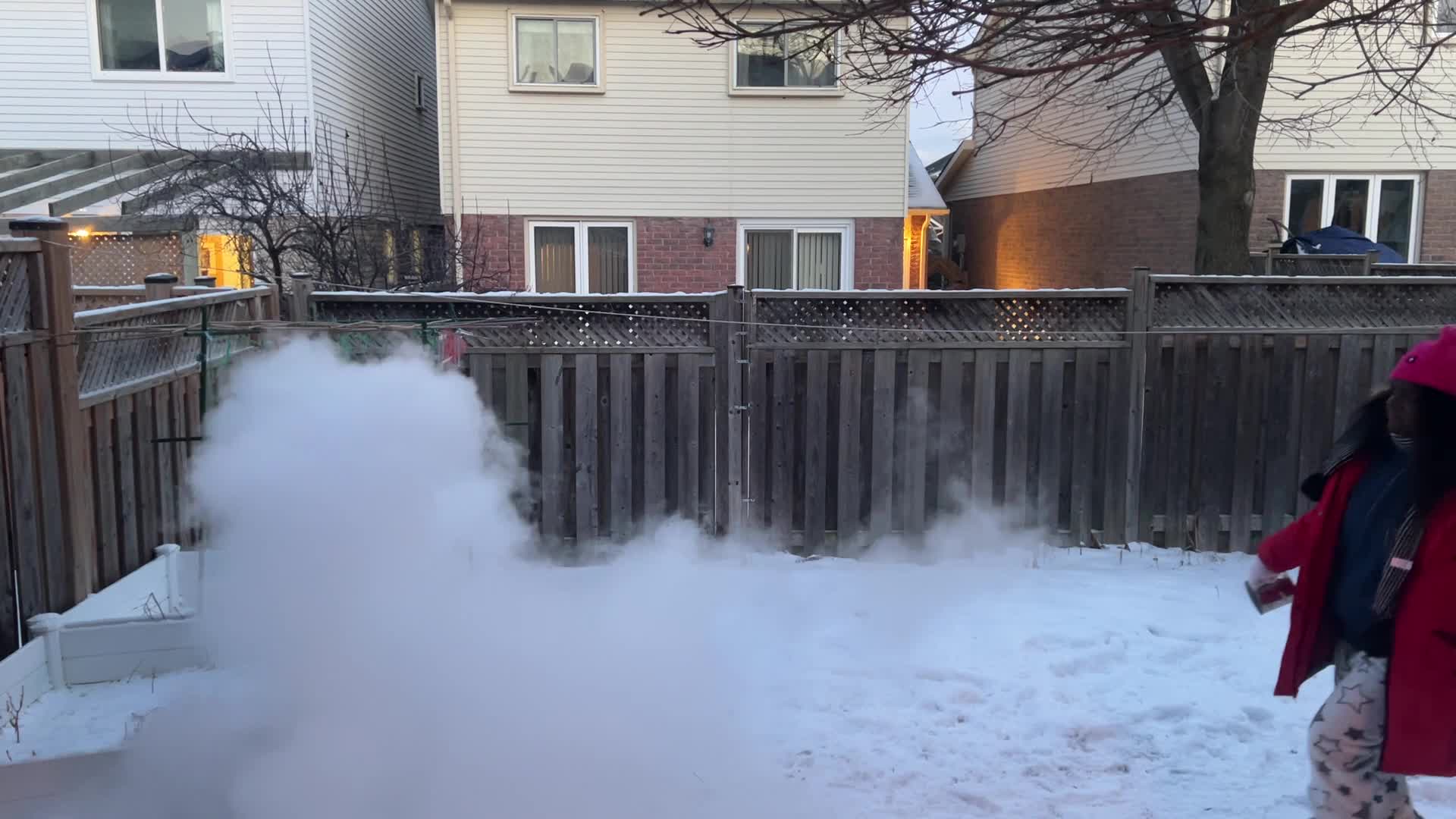 Polar vortex brings arctic air and freezing temperatures to Toronto, Canada