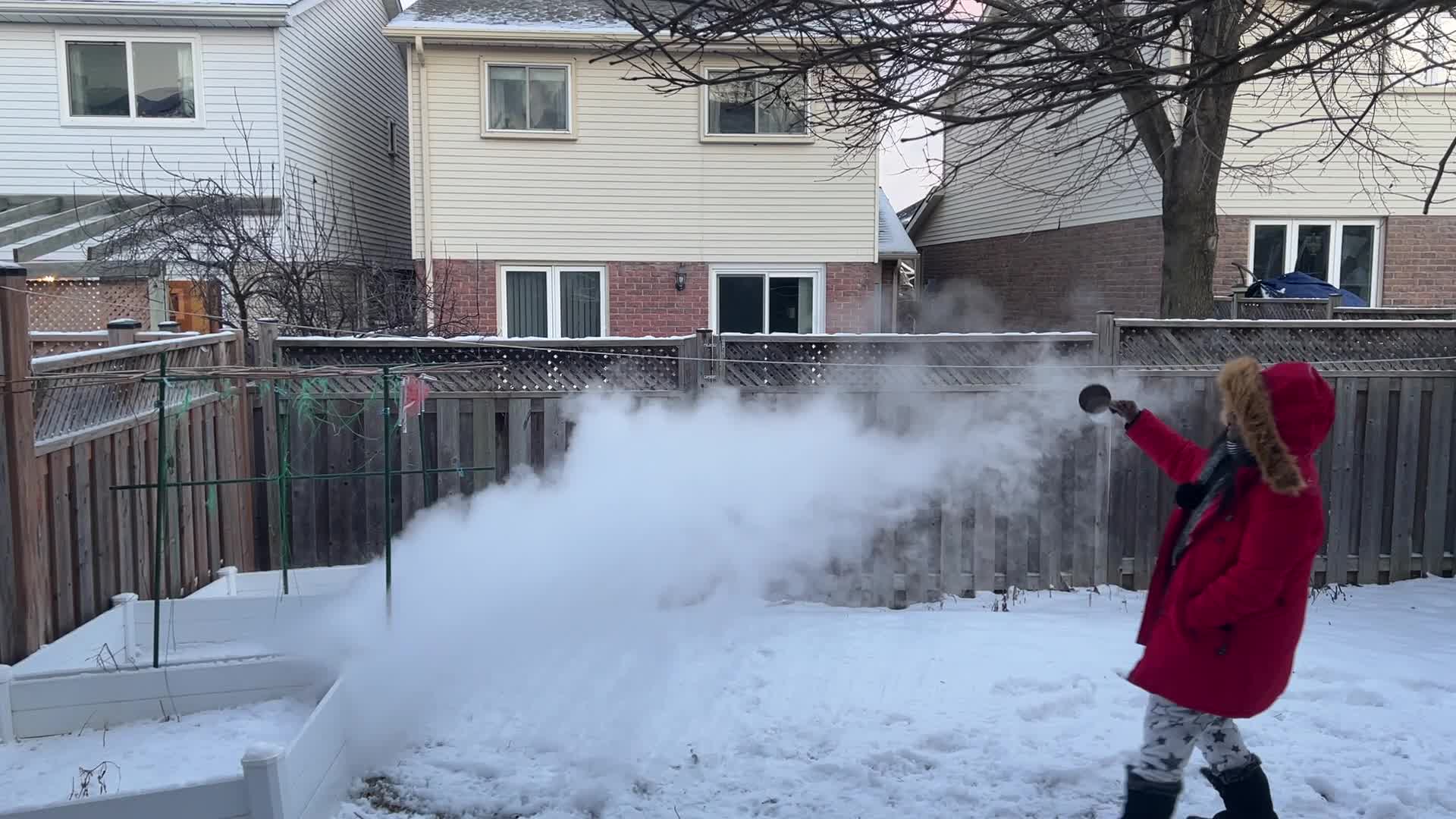 Polar vortex brings arctic air and freezing temperatures to Toronto, Canada