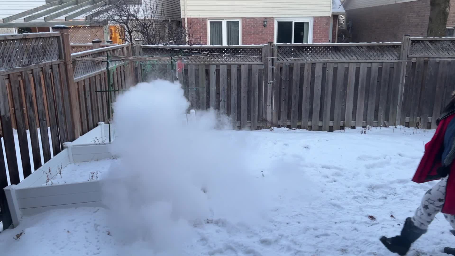 Polar vortex brings arctic air and freezing temperatures to Toronto, Canada