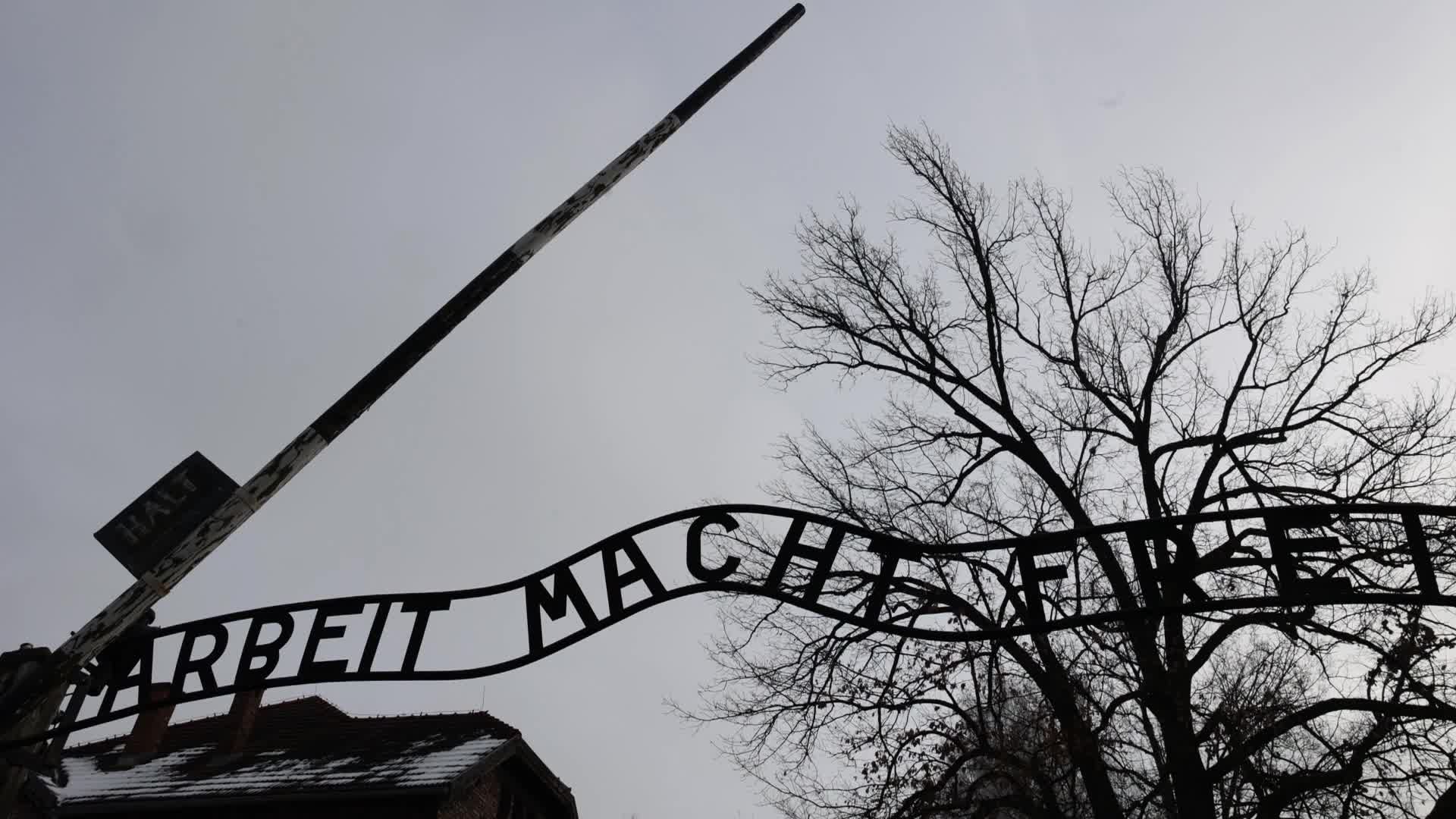 Auschwitz-Birkenau Ahead Of The 80th Liberation Anniversary
