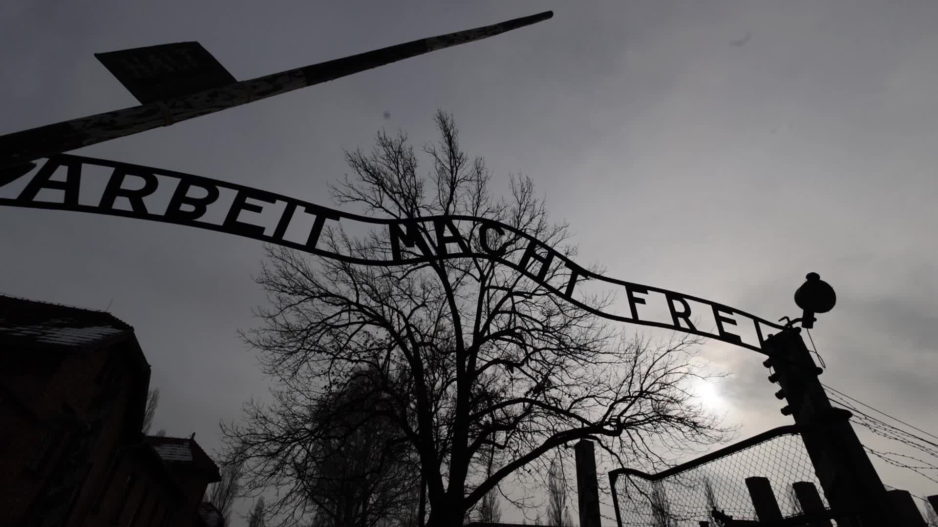 Auschwitz-Birkenau Ahead Of The 80th Liberation Anniversary
