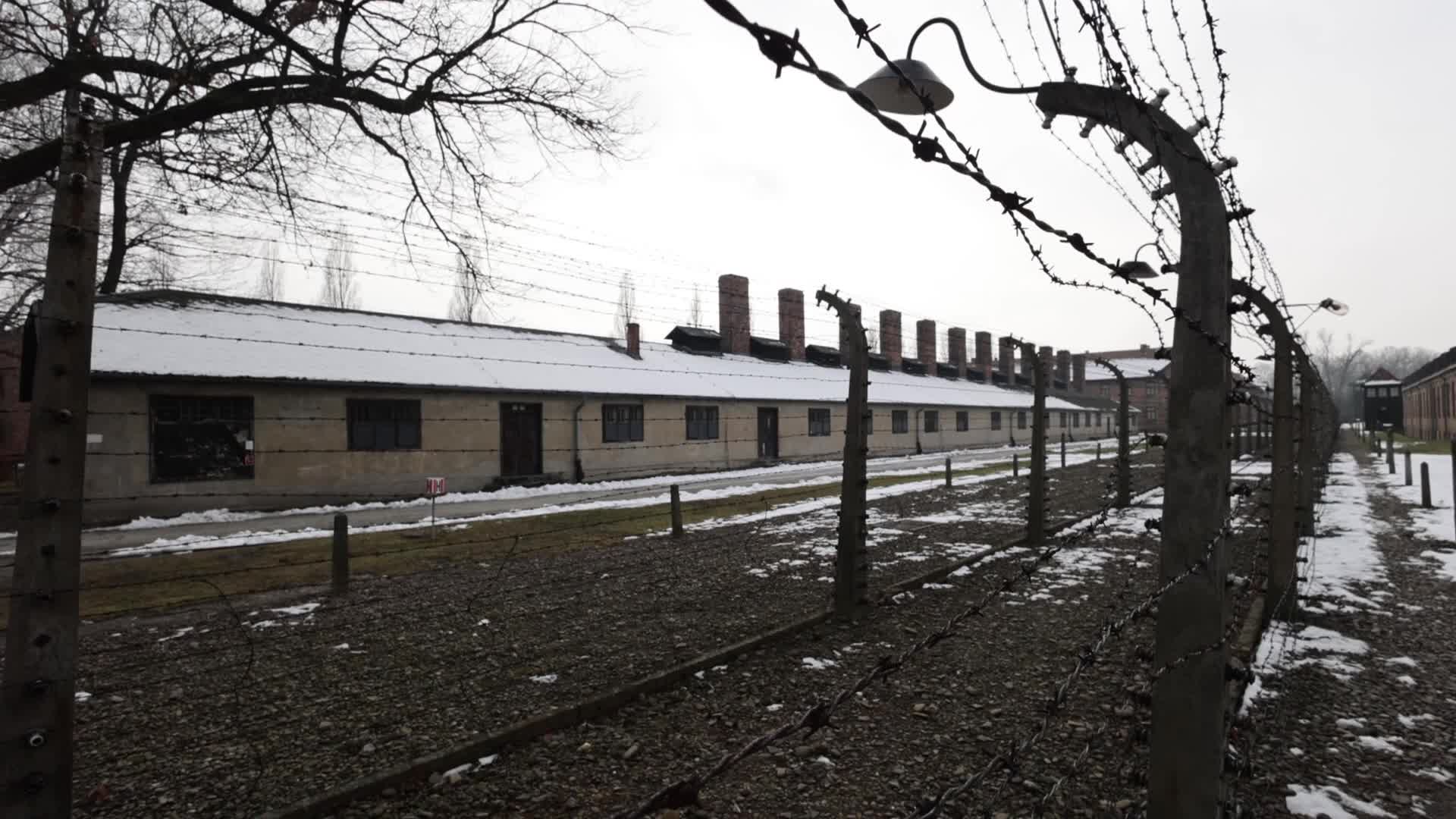Auschwitz-Birkenau Ahead Of The 80th Liberation Anniversary
