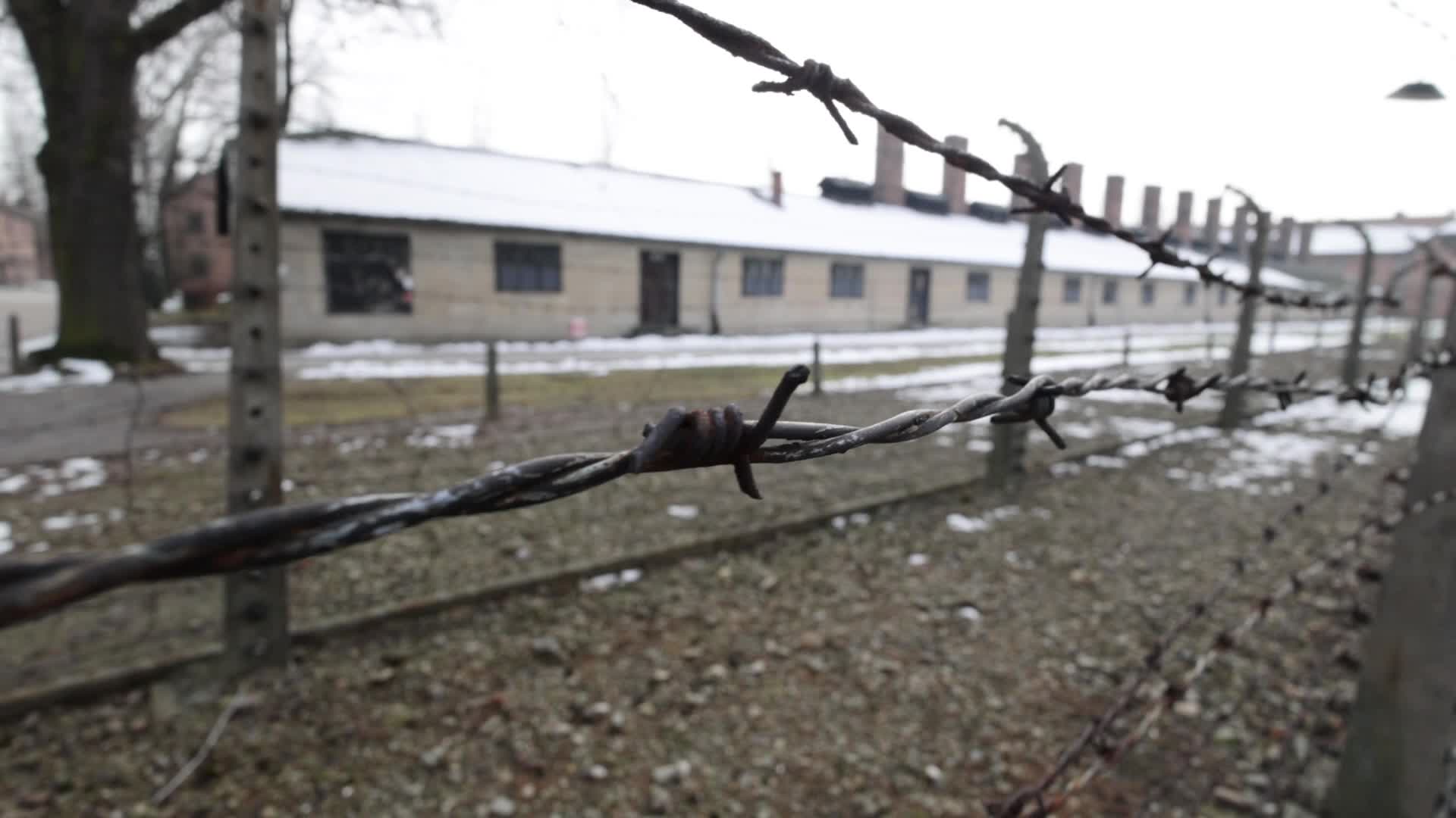 Auschwitz-Birkenau Ahead Of The 80th Liberation Anniversary
