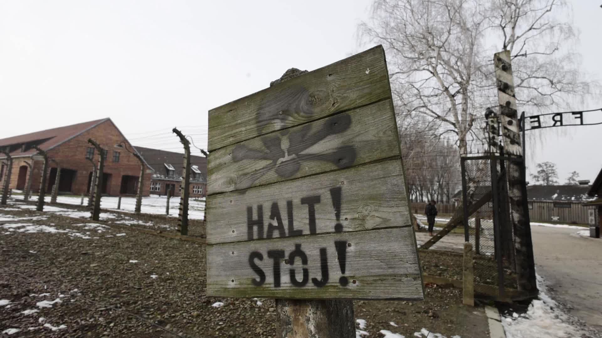 Auschwitz-Birkenau Ahead Of The 80th Liberation Anniversary
