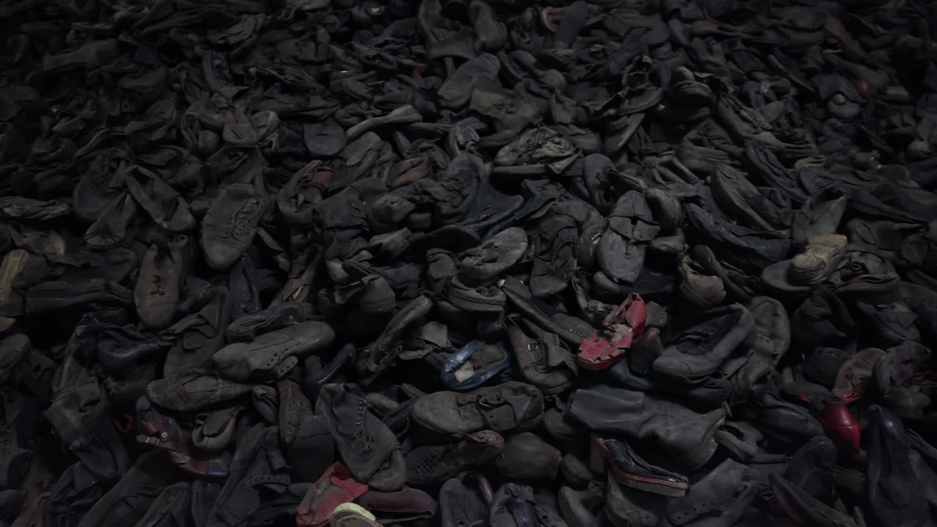 Auschwitz-Birkenau Ahead Of The 80th Liberation Anniversary
