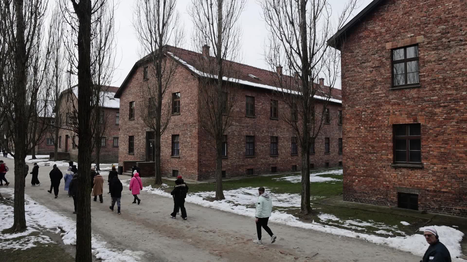 Auschwitz-Birkenau Ahead Of The 80th Liberation Anniversary
