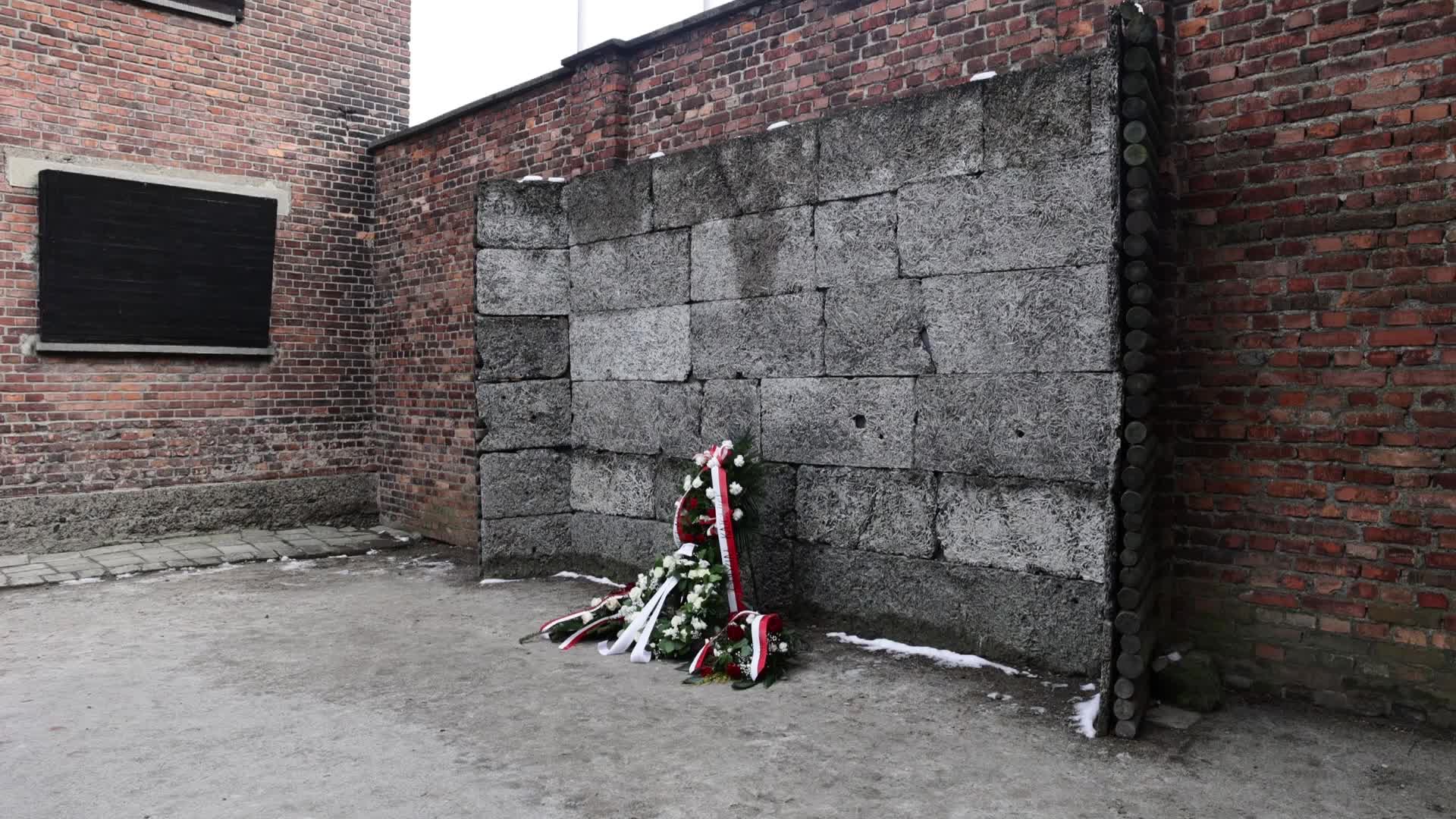 Auschwitz-Birkenau Ahead Of The 80th Liberation Anniversary
