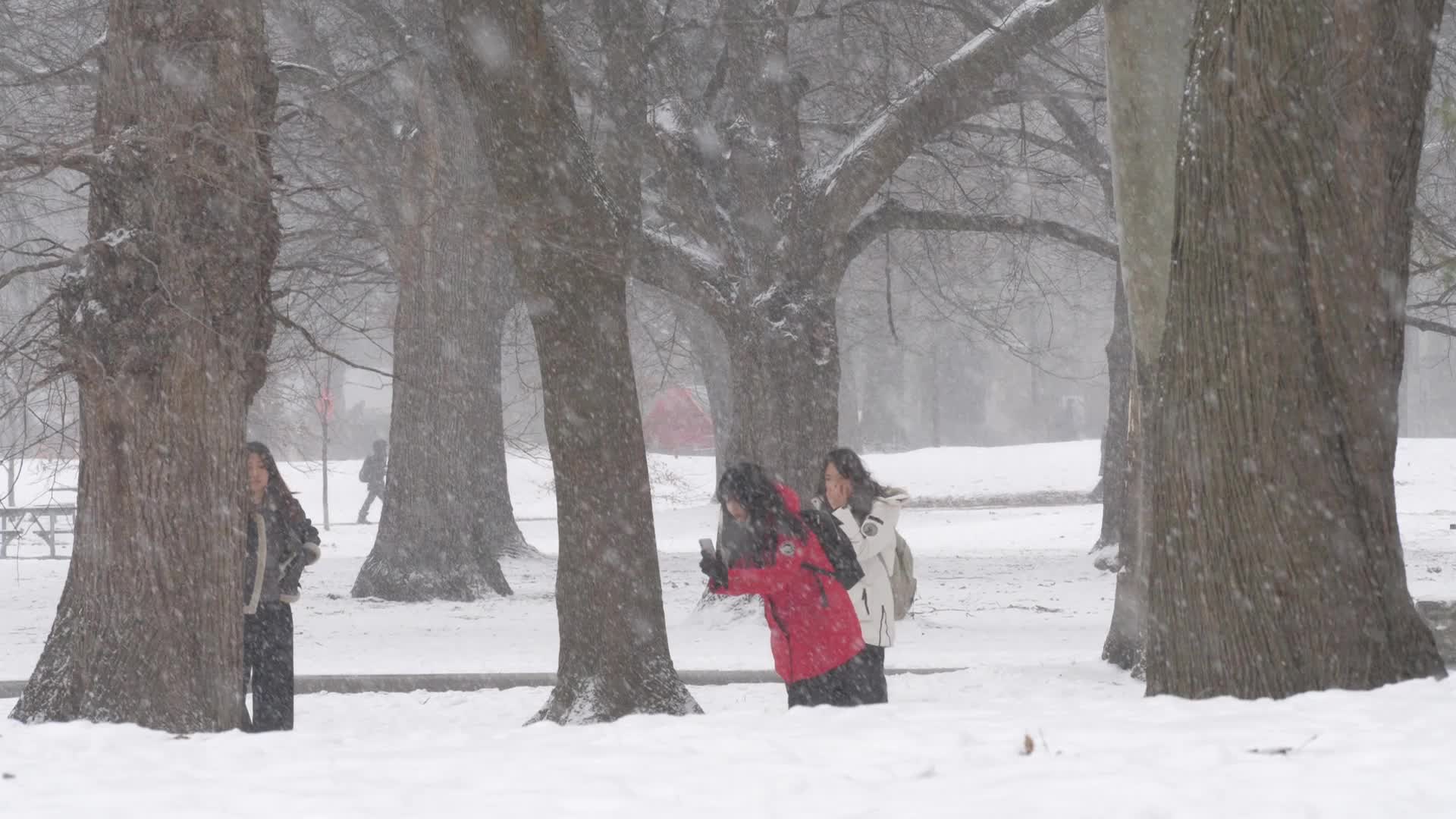 Snowy Day In Toronto, Canada