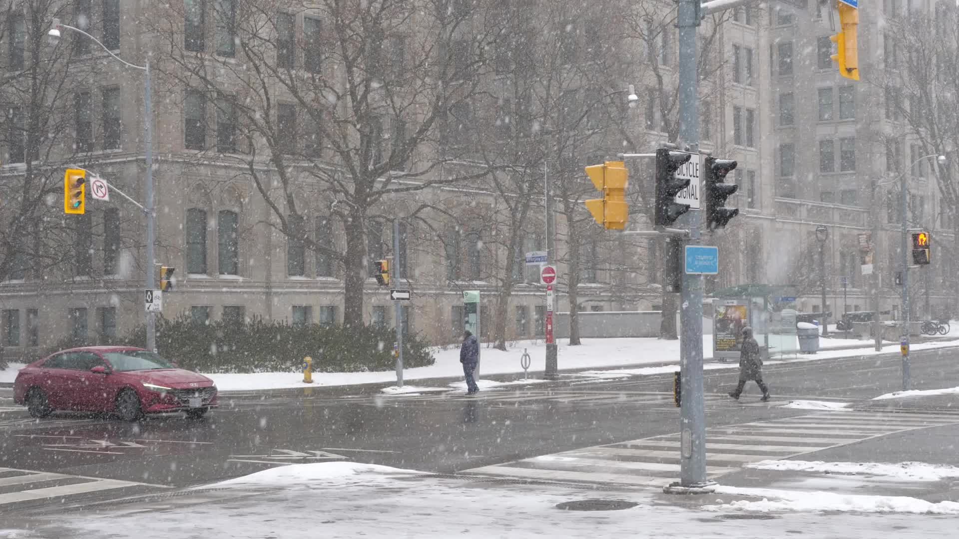Snowy Day In Toronto, Canada