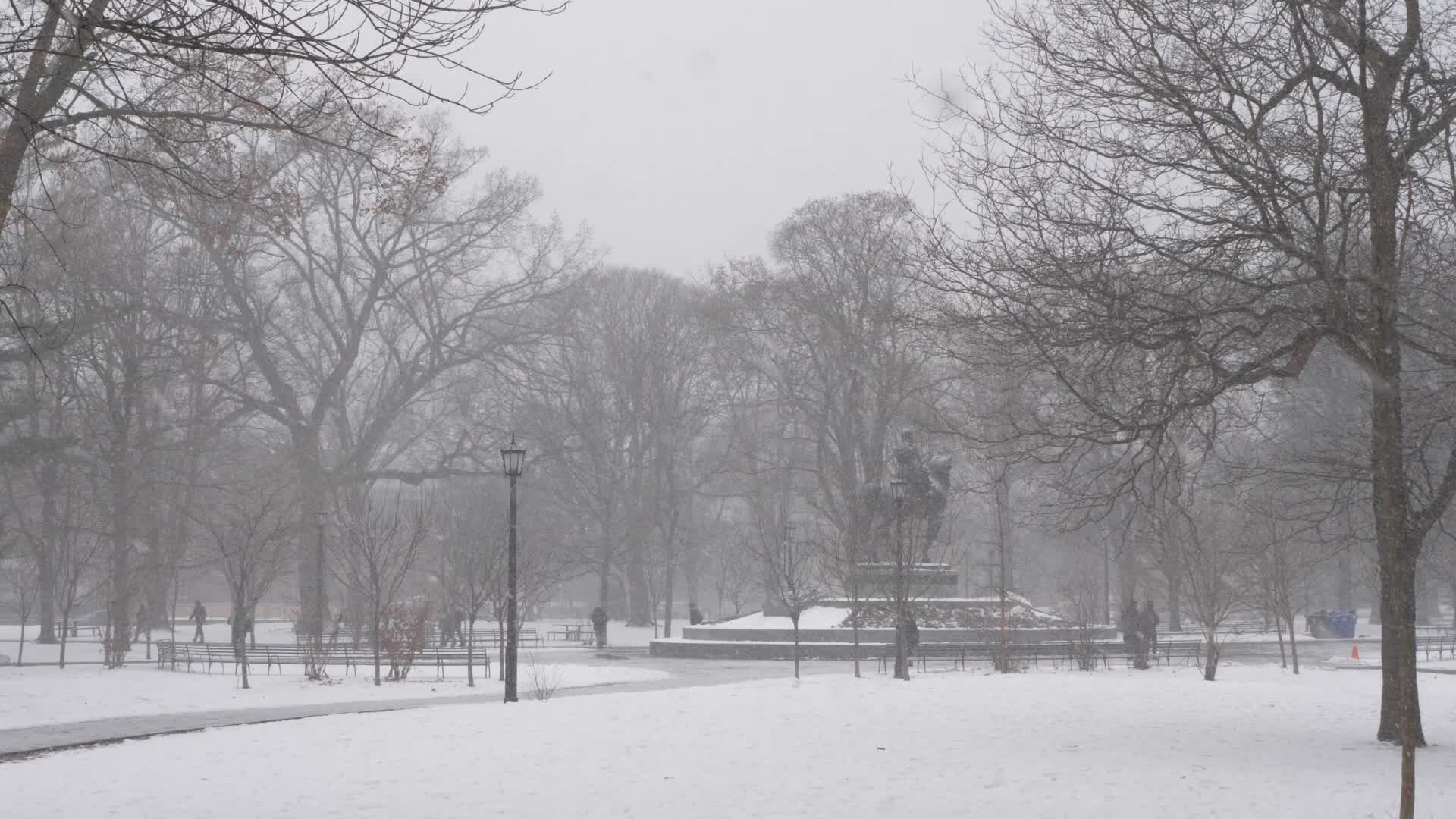 Snowy Day In Toronto, Canada
