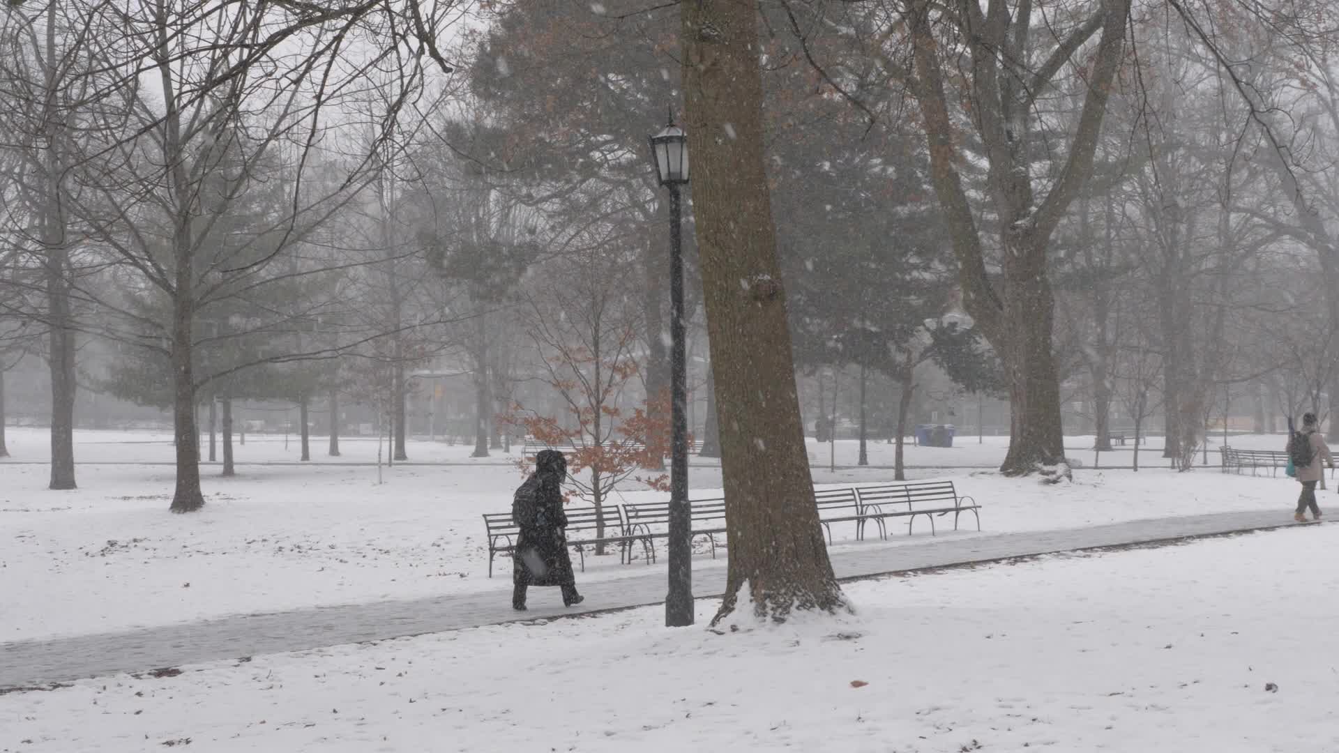 Snowy Day In Toronto, Canada