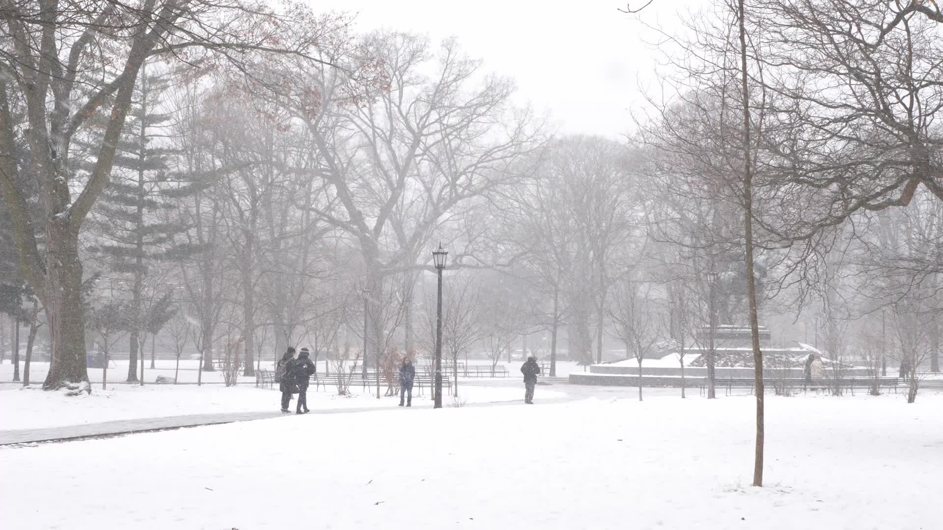 Snowy Day In Toronto, Canada