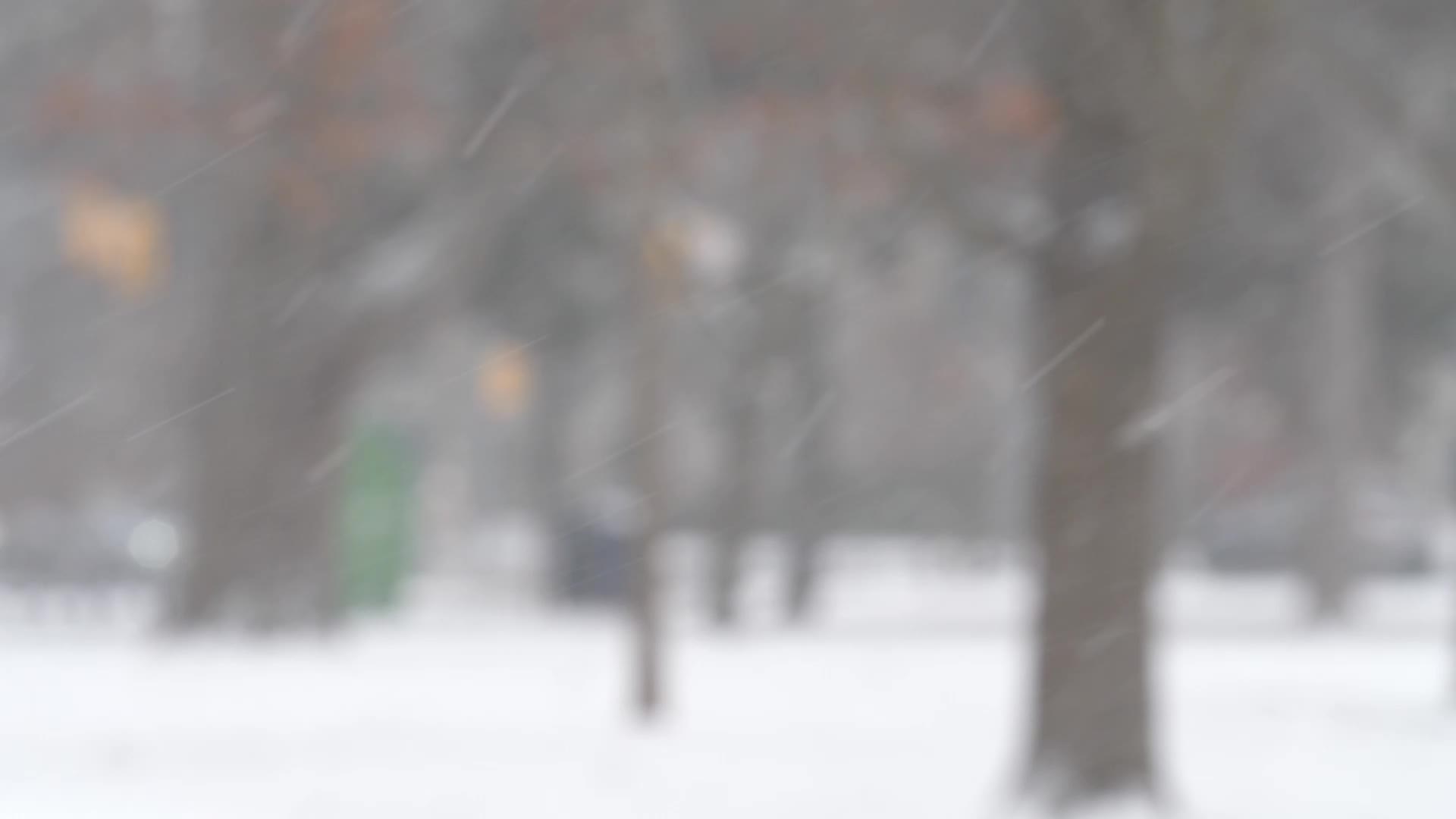 Snowy Day In Toronto, Canada