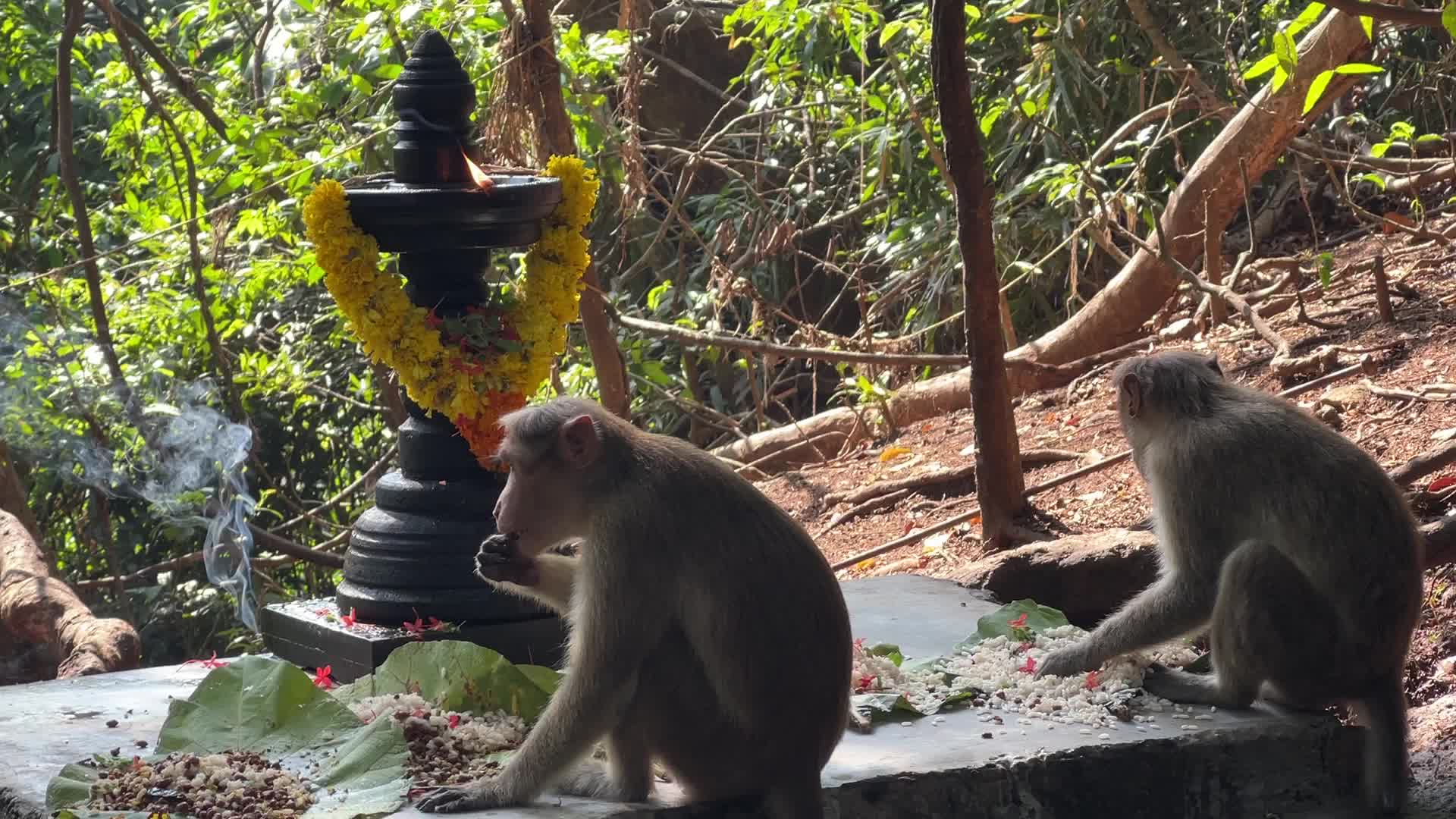 Sree Kallely Oorali Appooppan Kavu