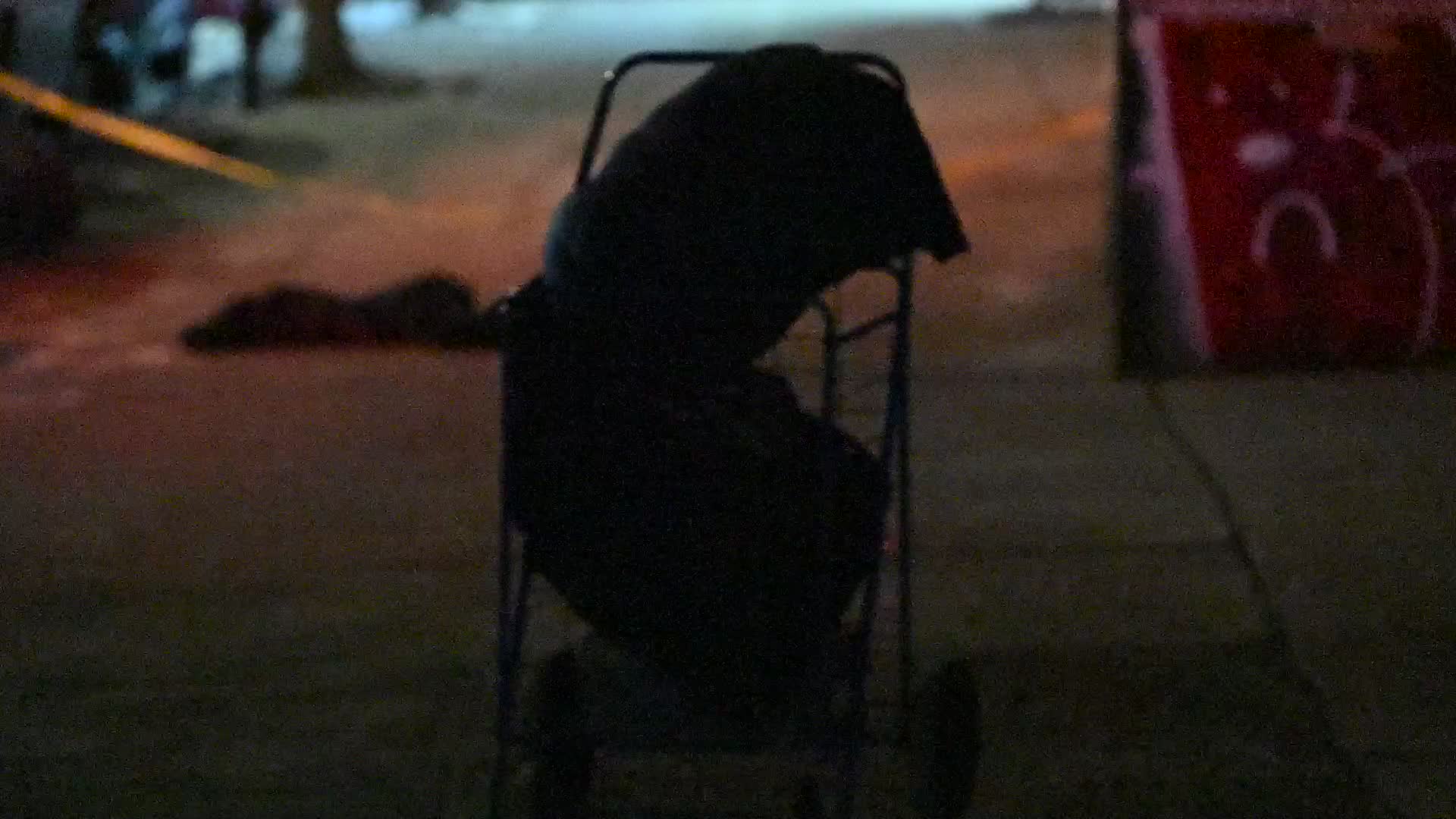 24-year-old man fatally stabbed to the chest on Halsey Street in the Bushwick section of Brooklyn New York City