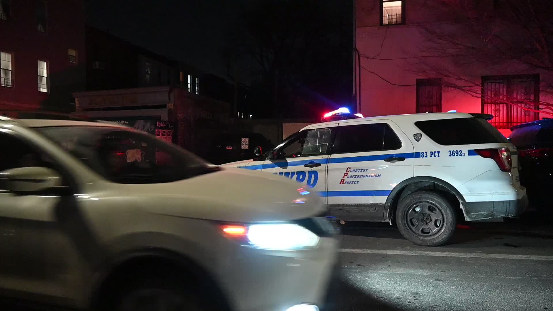 24-year-old man fatally stabbed to the chest on Halsey Street in the Bushwick section of Brooklyn New York City