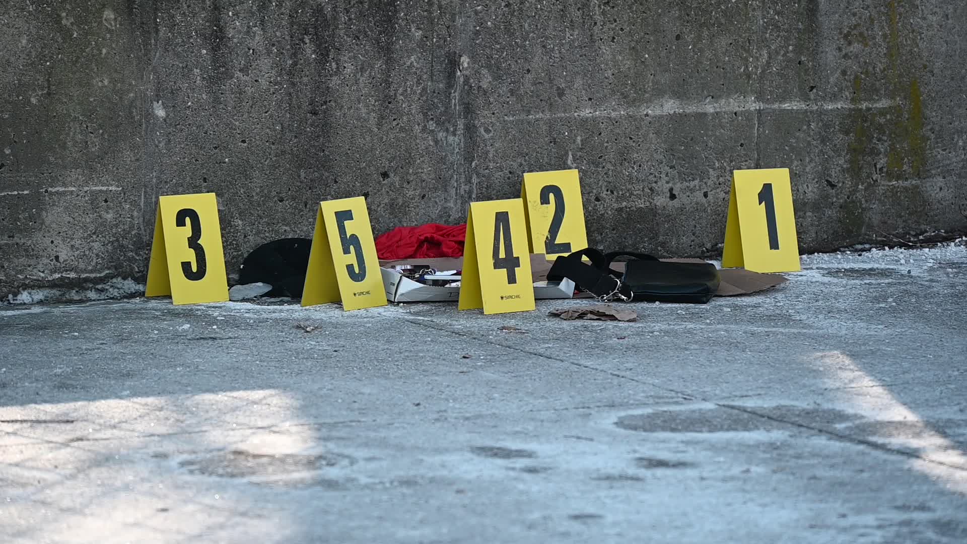Woman Found Dead On A Sidewalk In Area Of Flatlands Avenue And Van Siclen Avenue In East New York Brooklyn