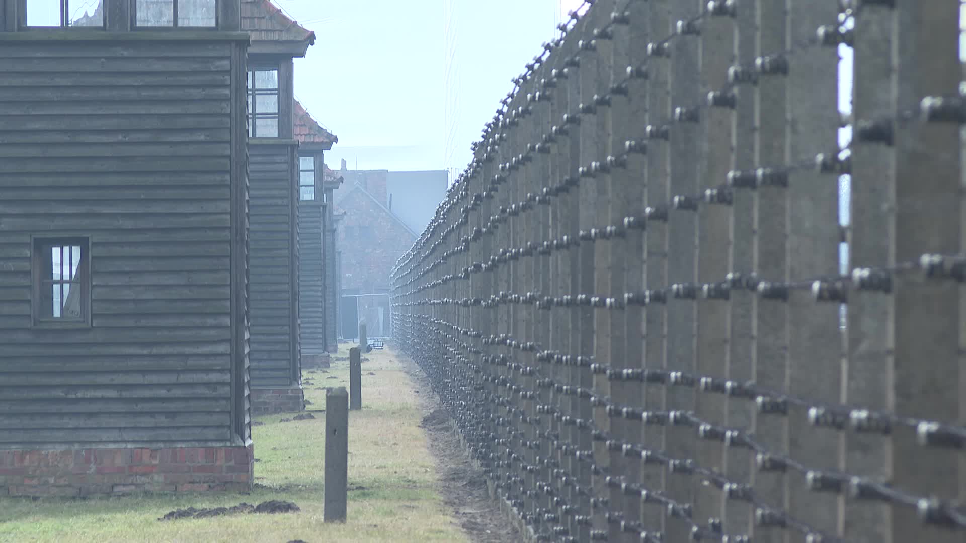 Auschwitz liberation anniversary