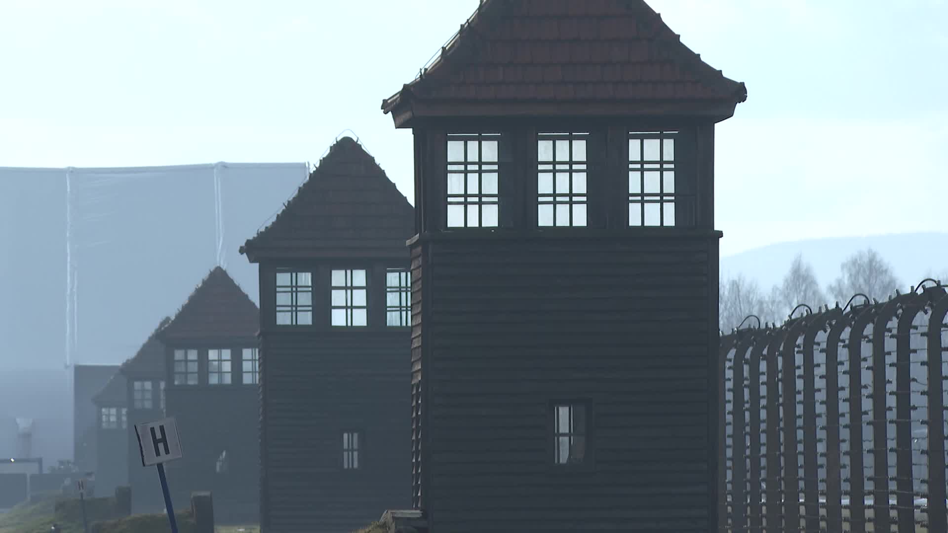 Auschwitz liberation anniversary
