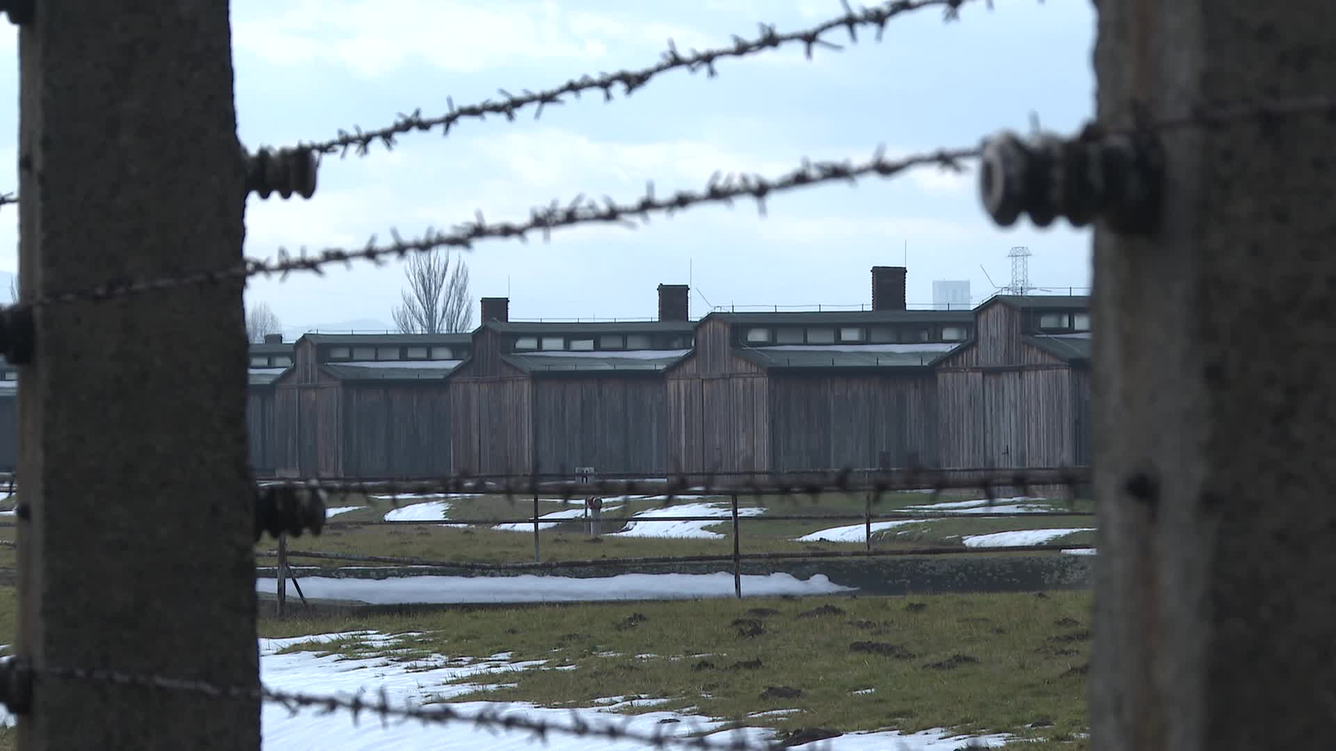 Auschwitz liberation anniversary