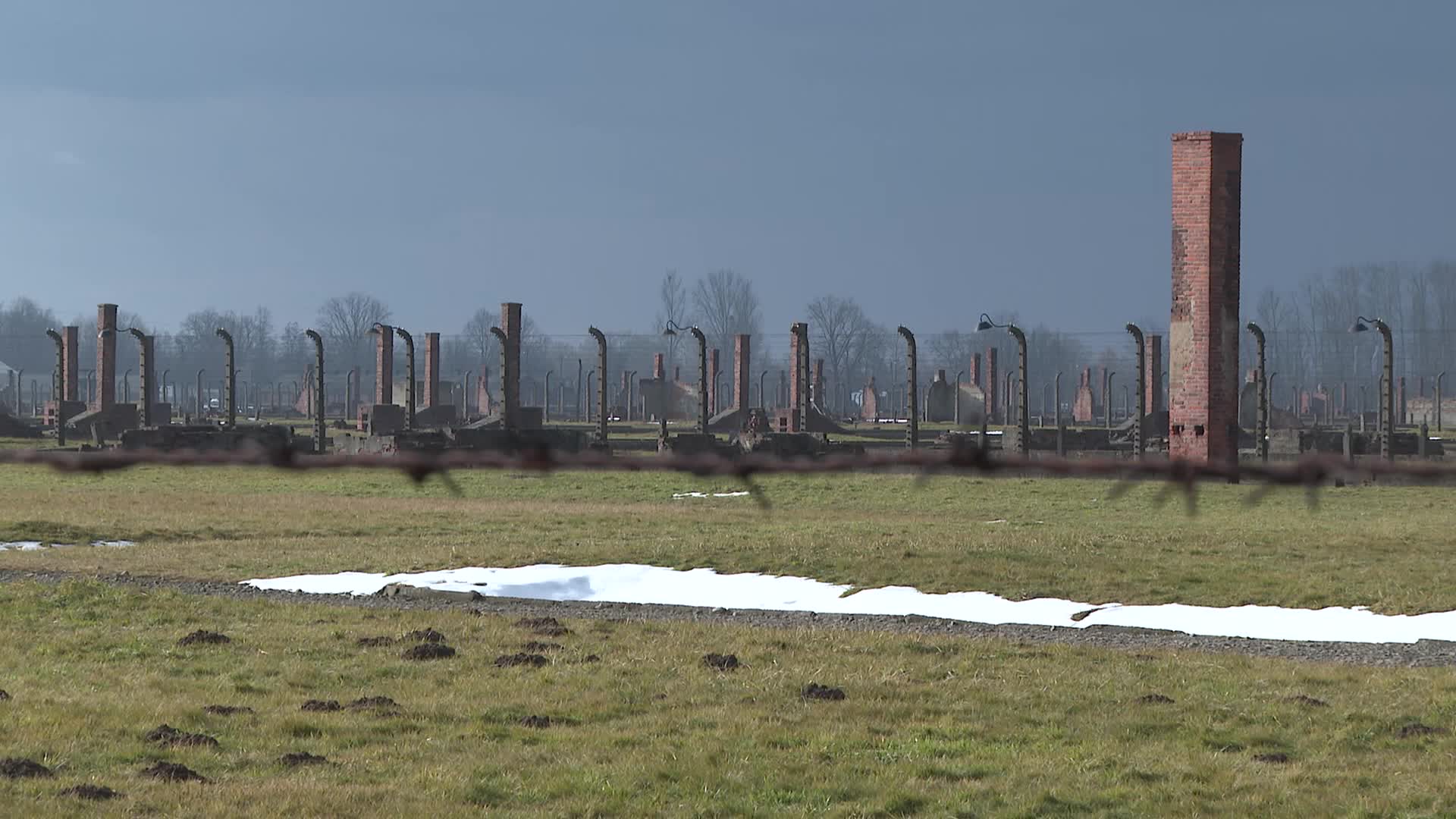 Auschwitz liberation anniversary