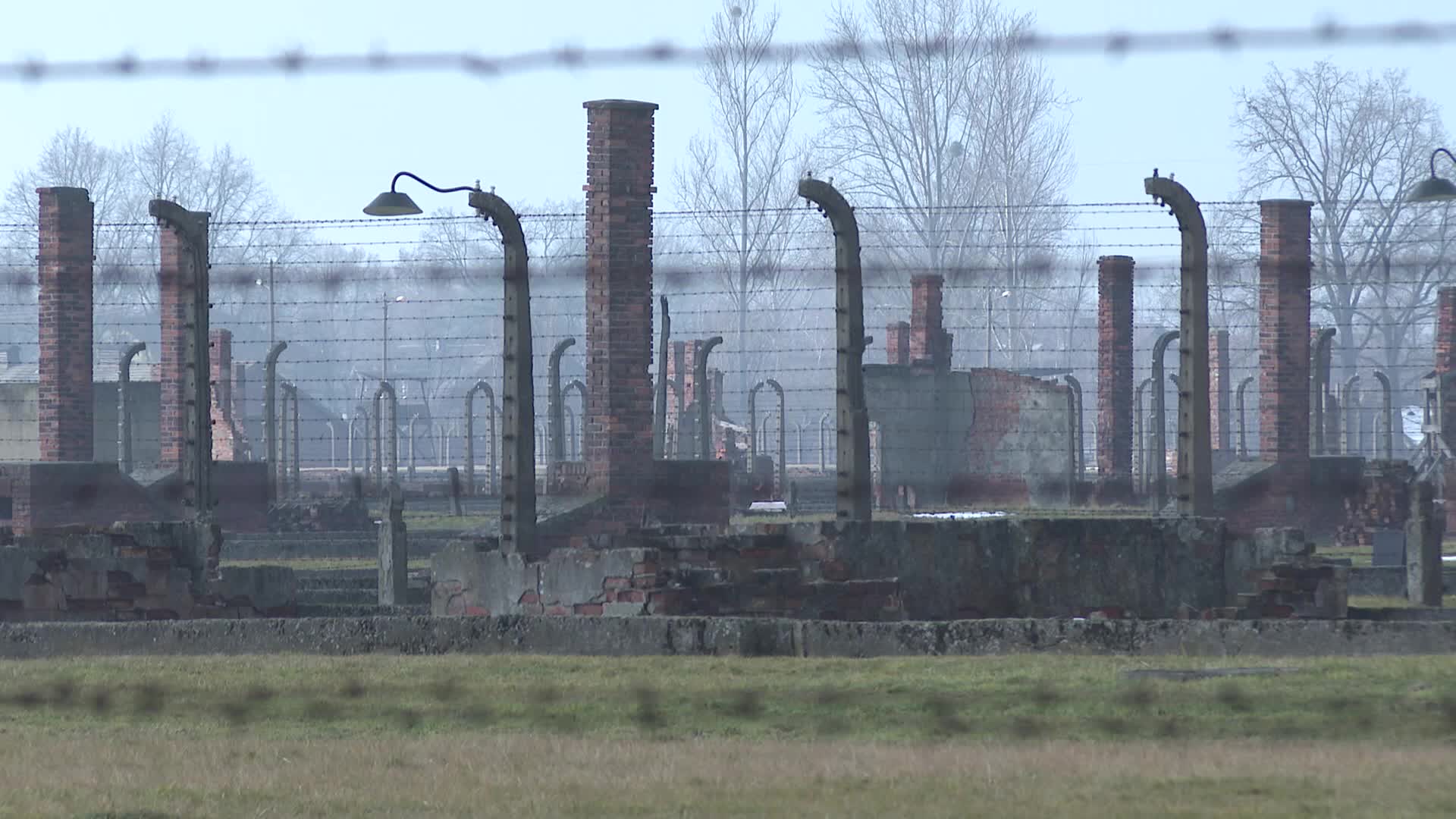 Auschwitz liberation anniversary