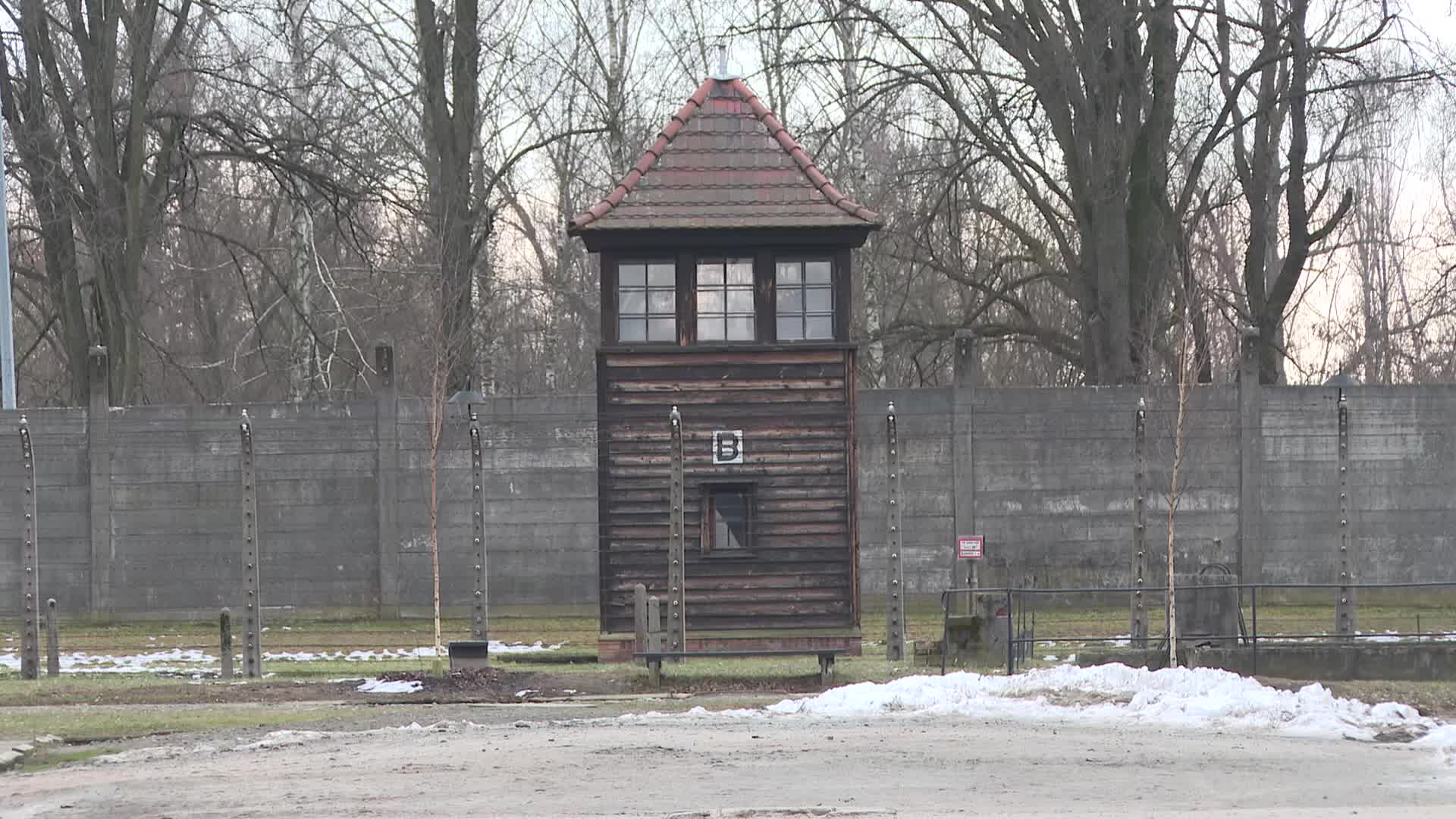 Auschwitz liberation anniversary