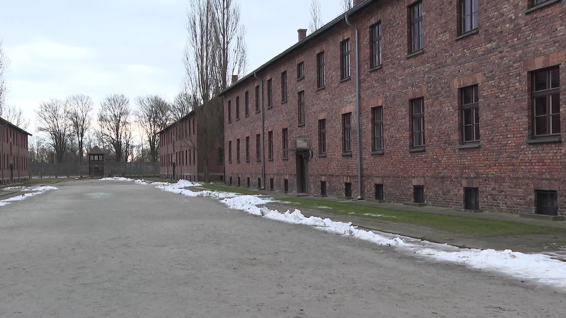 Auschwitz liberation anniversary