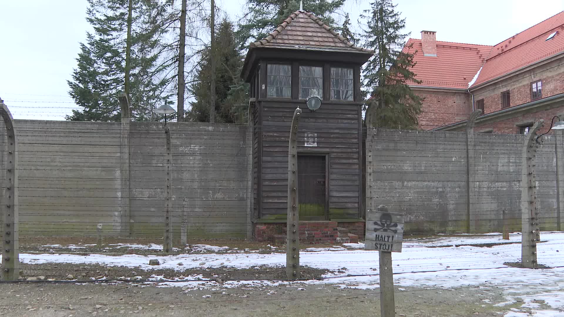 Auschwitz liberation anniversary