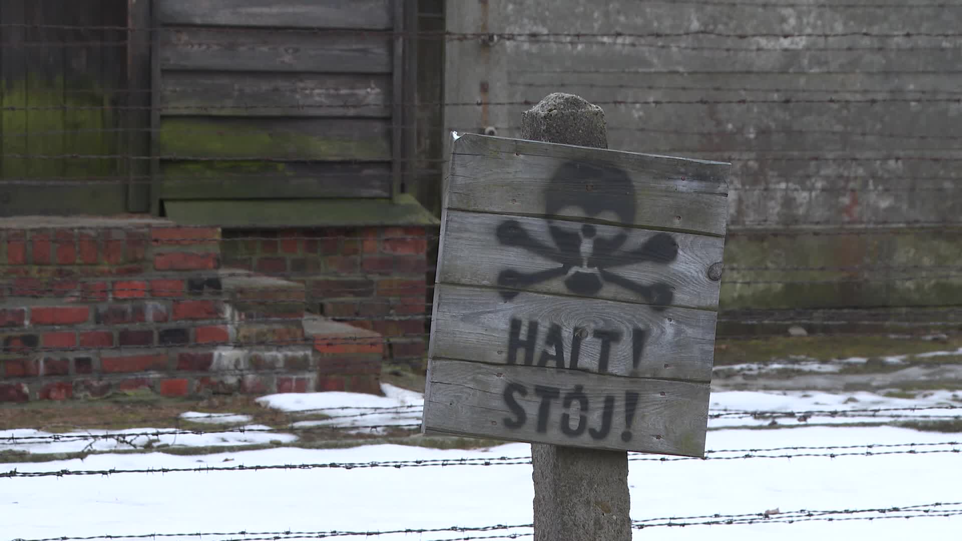 Auschwitz liberation anniversary