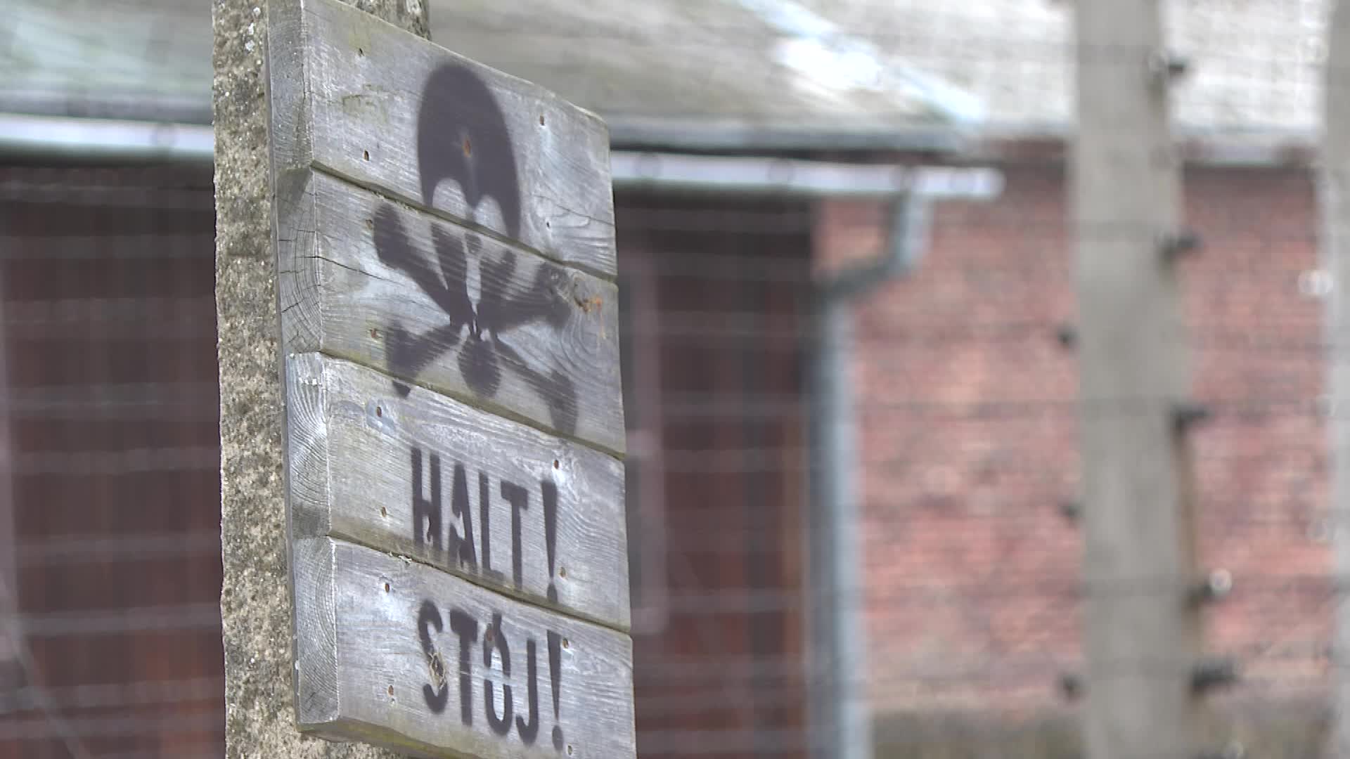 Auschwitz liberation anniversary