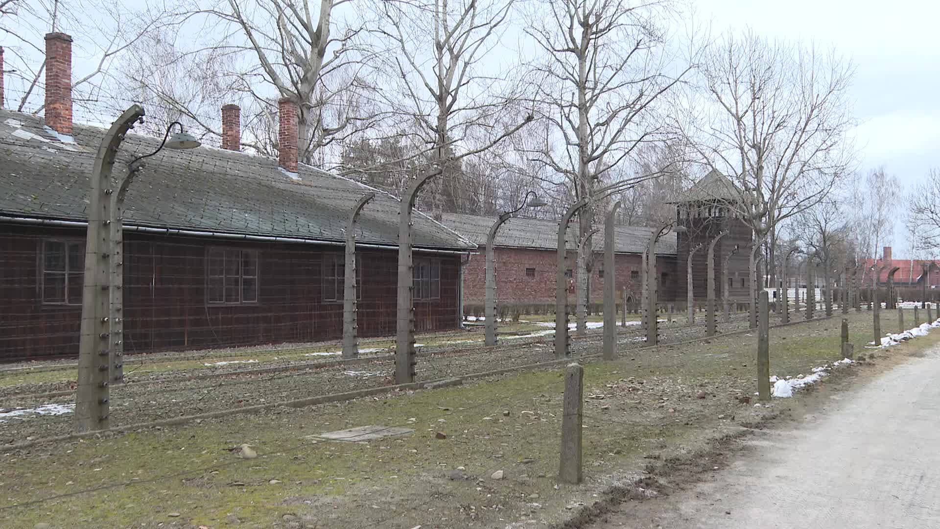 Auschwitz liberation anniversary