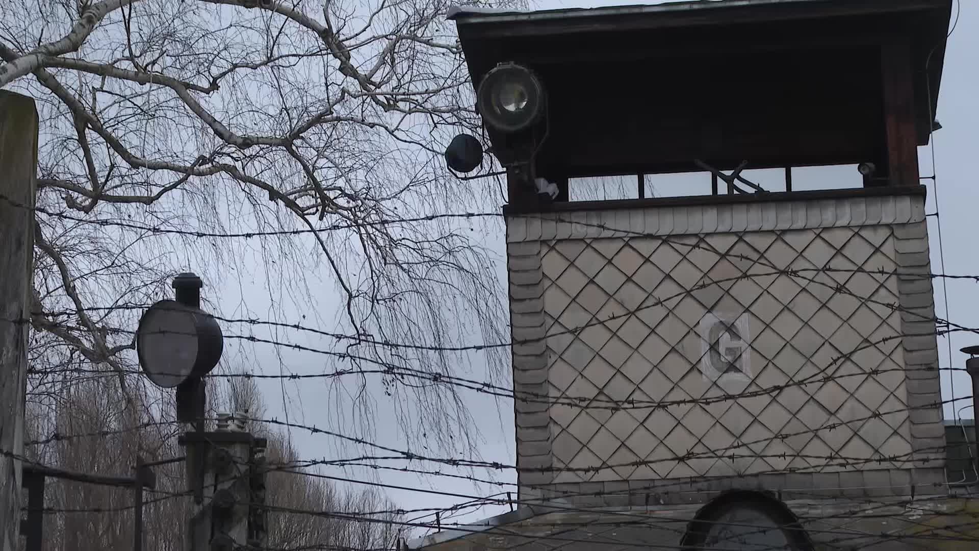 Auschwitz liberation anniversary