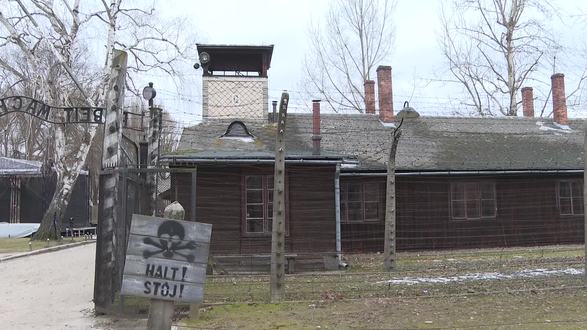 Auschwitz liberation anniversary