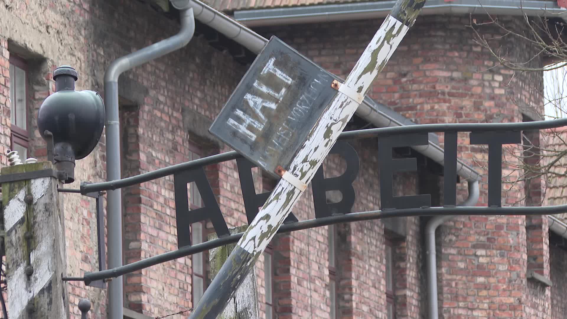 Auschwitz liberation anniversary