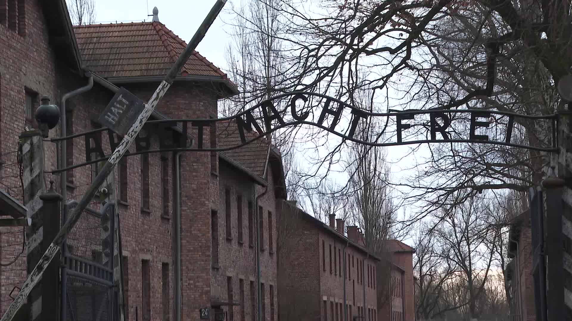 Auschwitz liberation anniversary