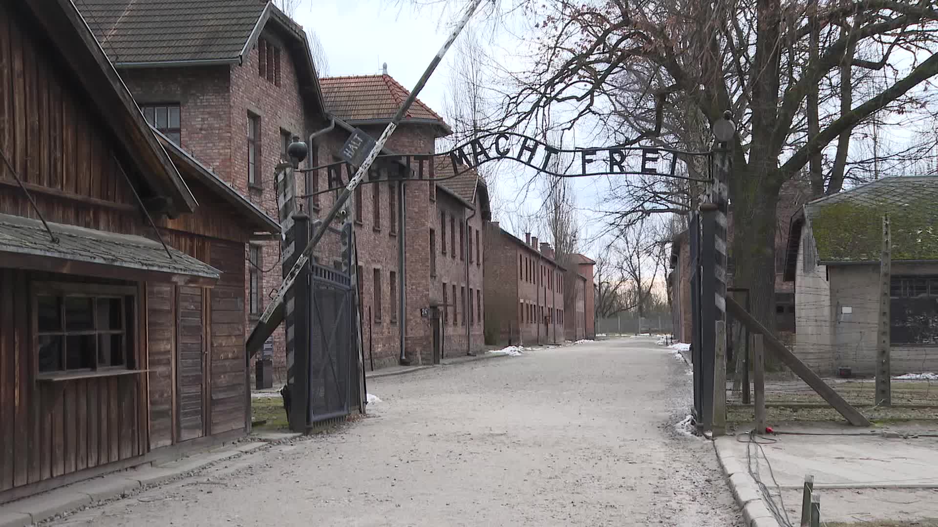 Auschwitz liberation anniversary
