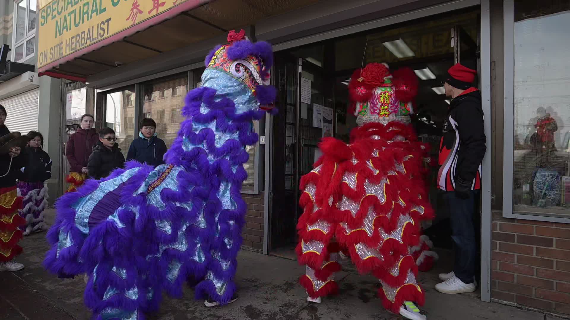 Edmonton Lunar New Year Celebration 2025