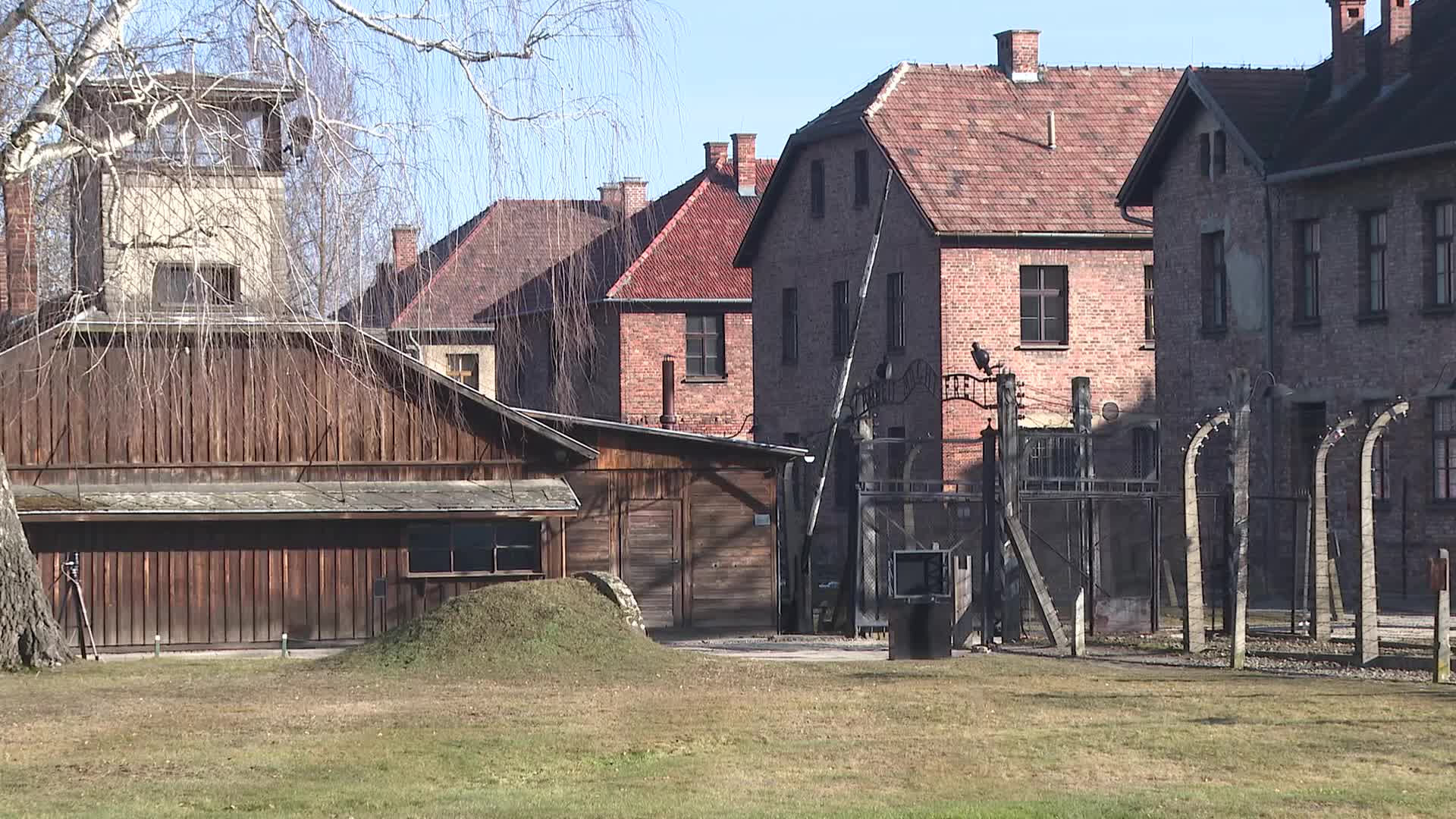 Auschwitz liberation 80th anniversary
