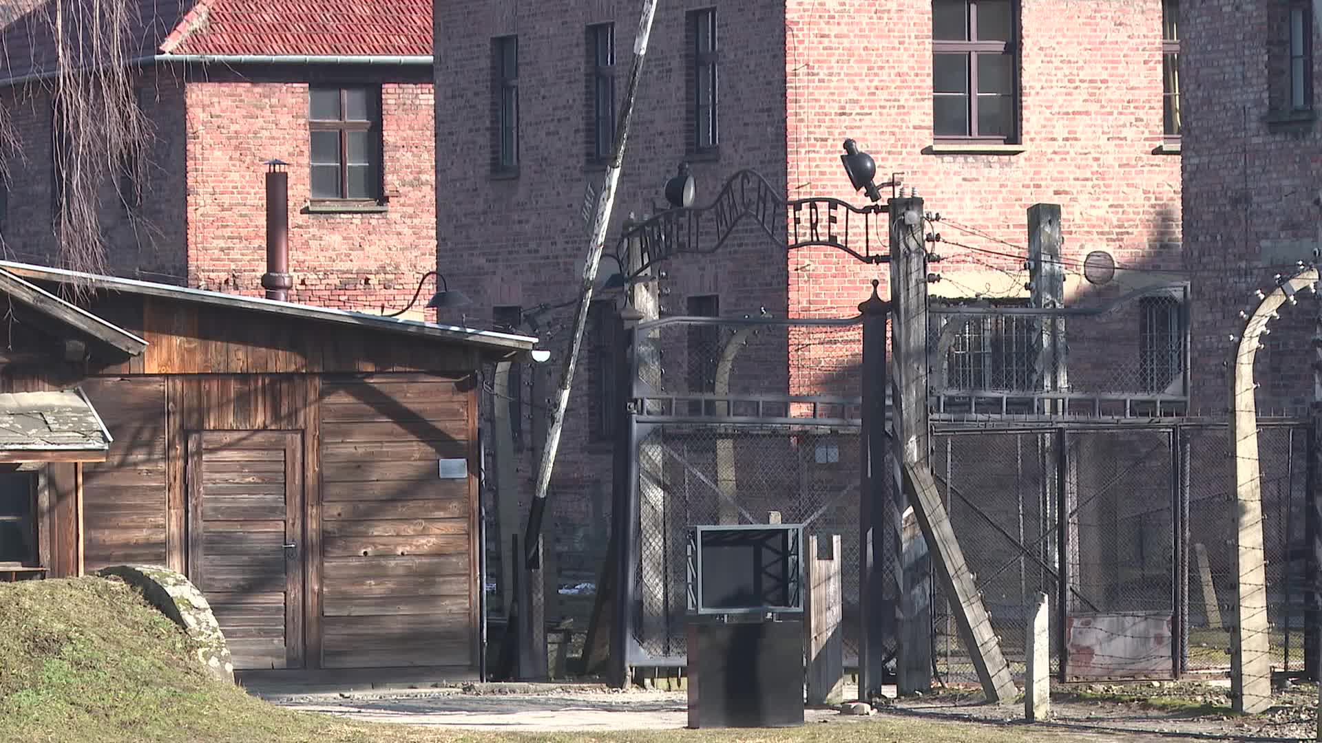 Auschwitz liberation 80th anniversary