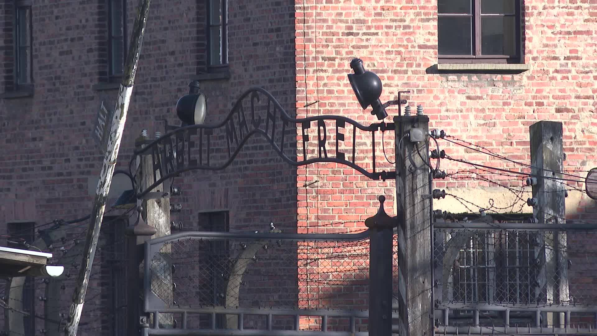 Auschwitz liberation 80th anniversary