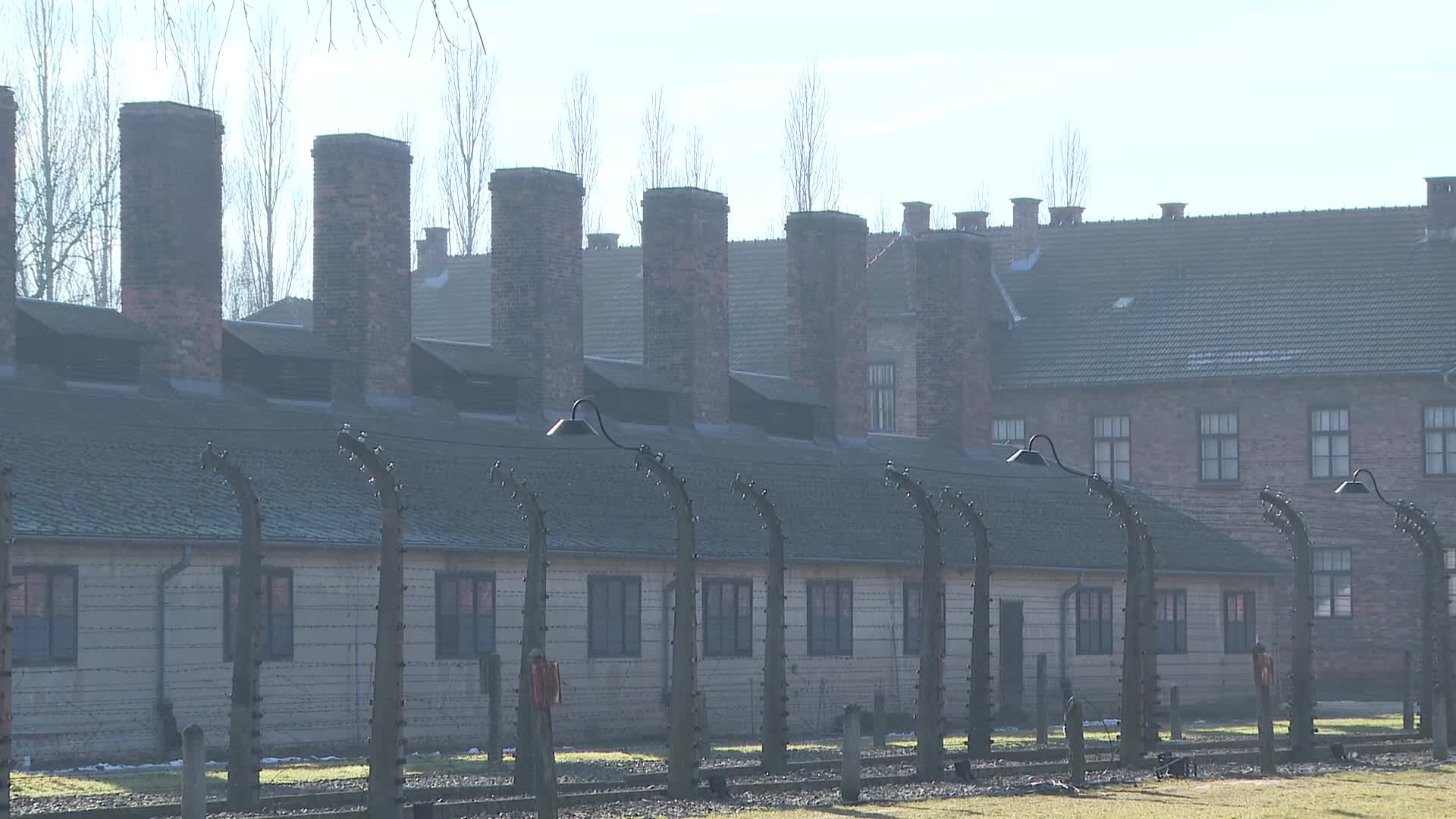 Auschwitz liberation 80th anniversary