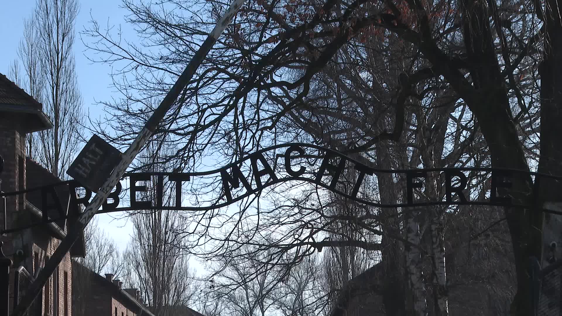 Auschwitz liberation 80th anniversary