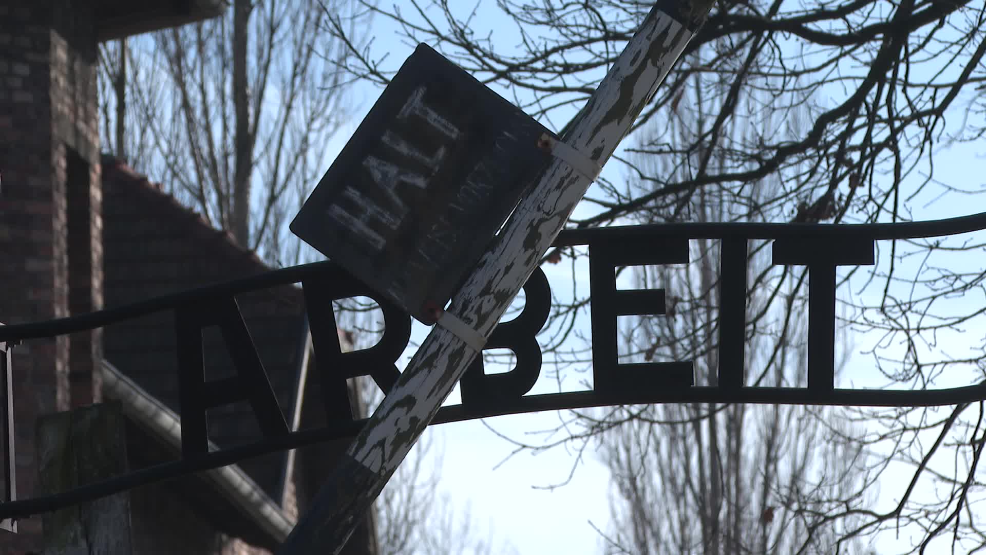 Auschwitz liberation 80th anniversary