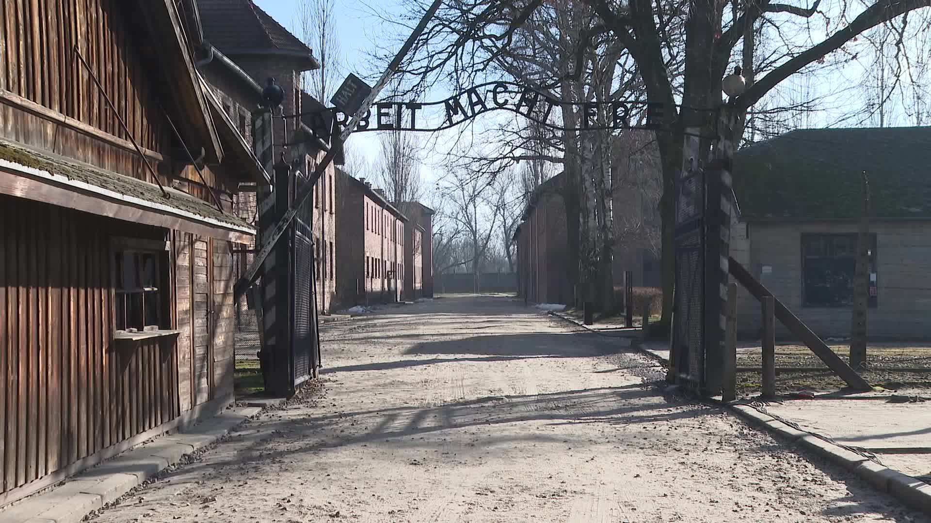 Auschwitz liberation 80th anniversary
