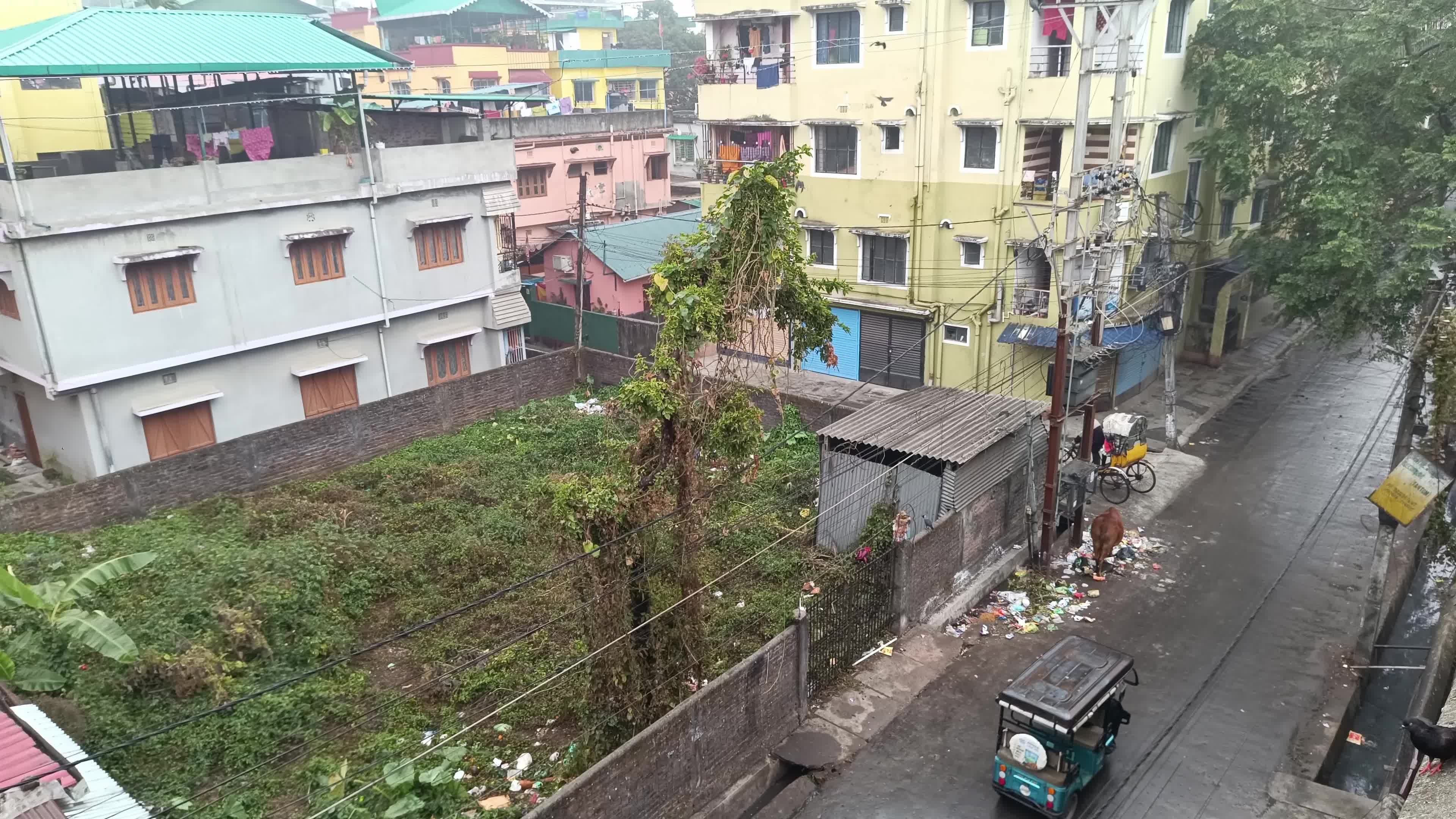 Rainy Day on a Winter and Cold in Siliguri