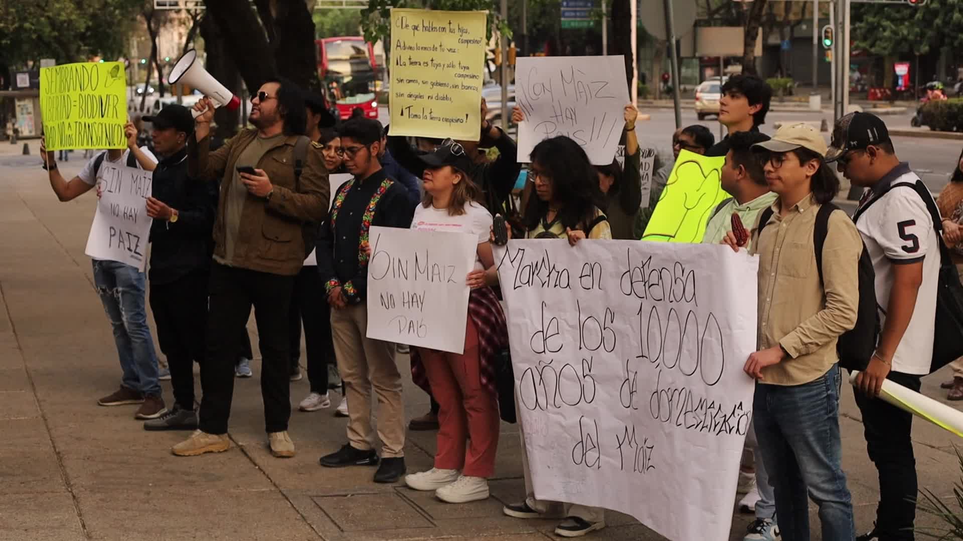 March defending Mexican native corn