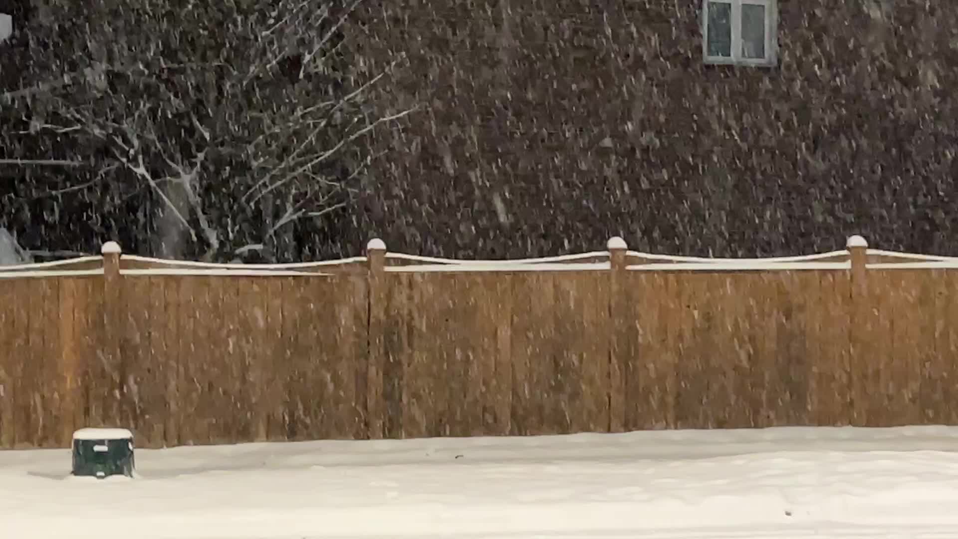 Heavy snow falling in Toronto, Canada