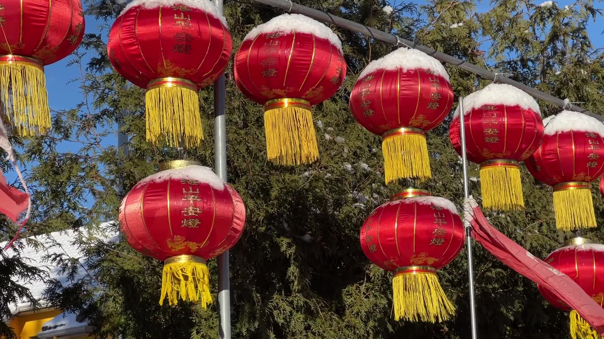 Chinese Lunar New Year Celebration in Canada